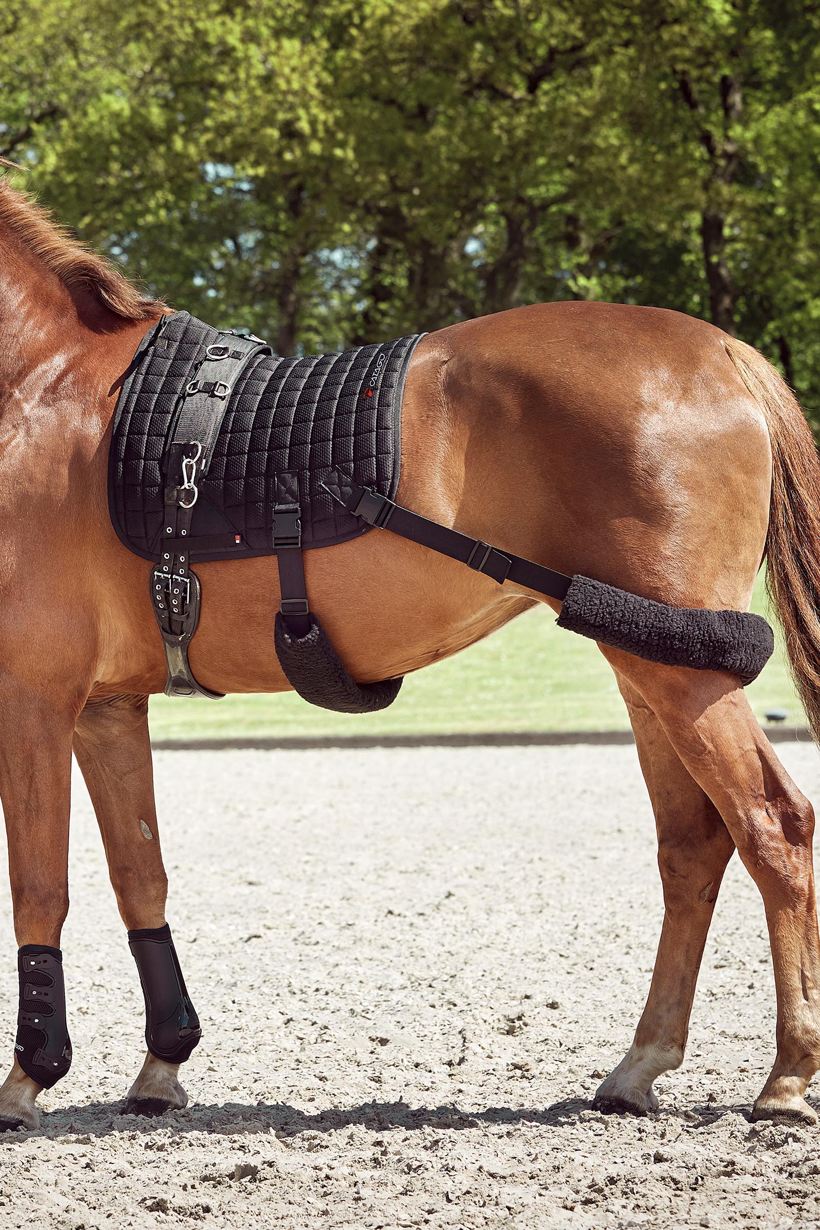 Catago FIR-Tech Trainingsschabracke mit elastischen Gurten