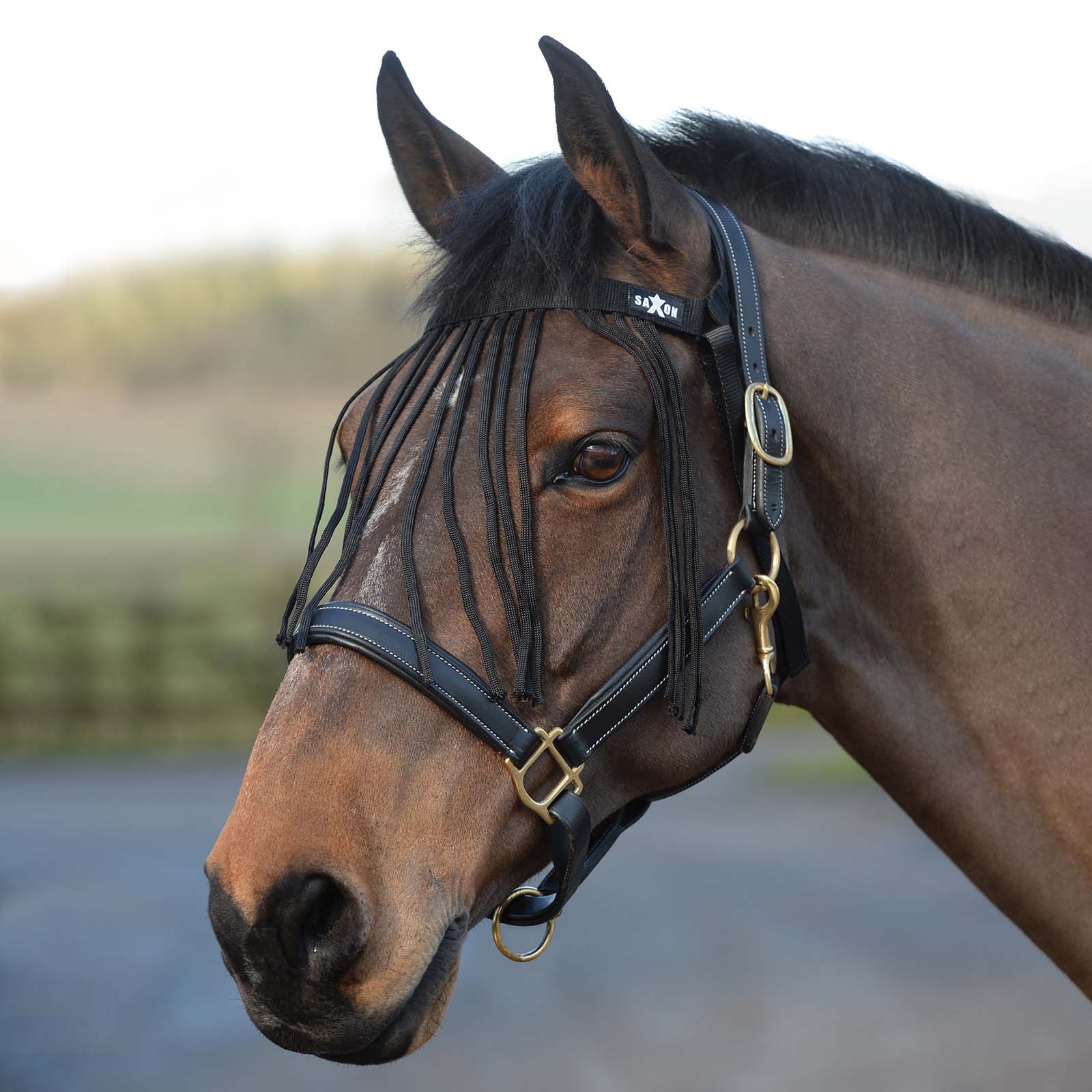 Saxon Fliegenfransen