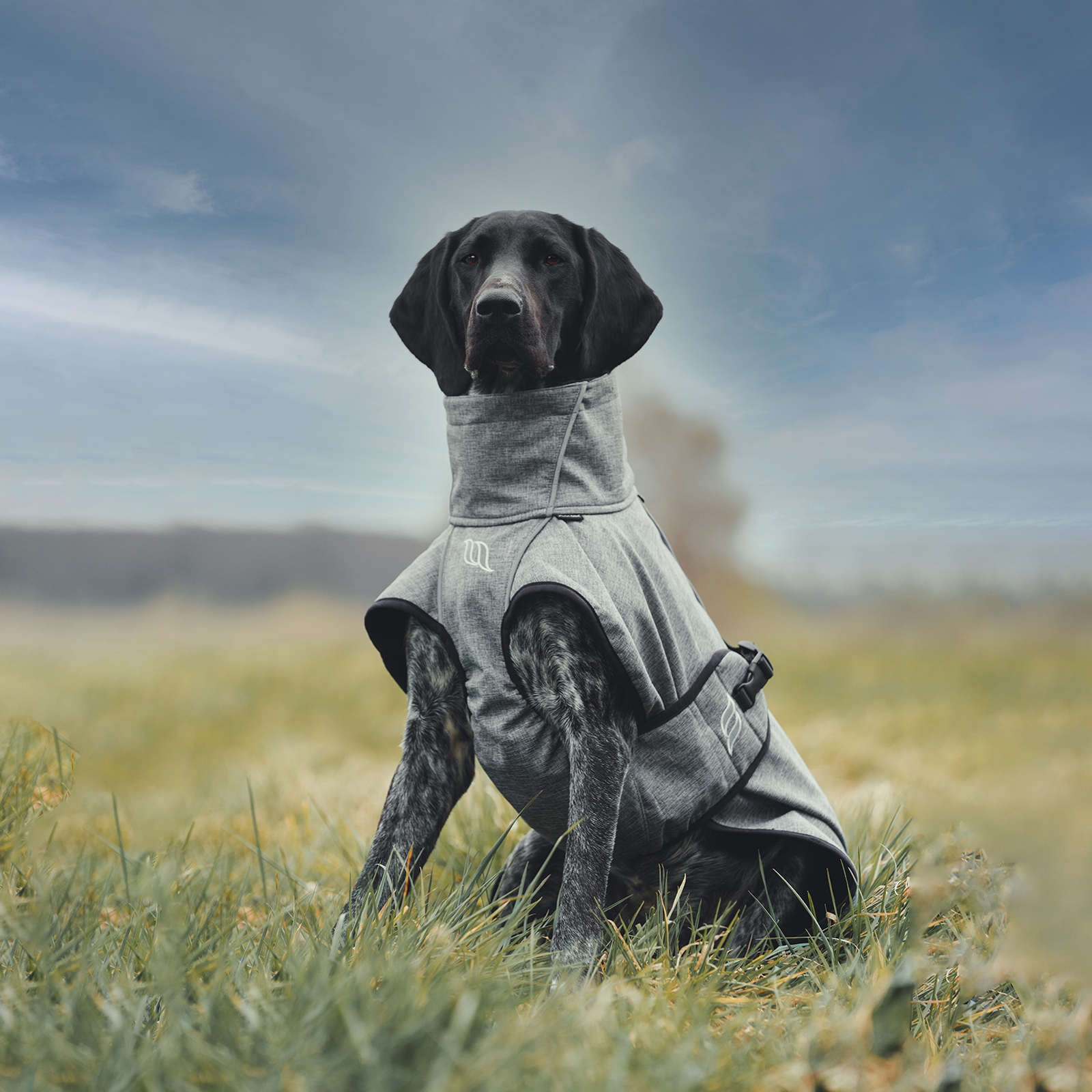 Back on Track Bark All-Round Hundemantel, 25-35cm