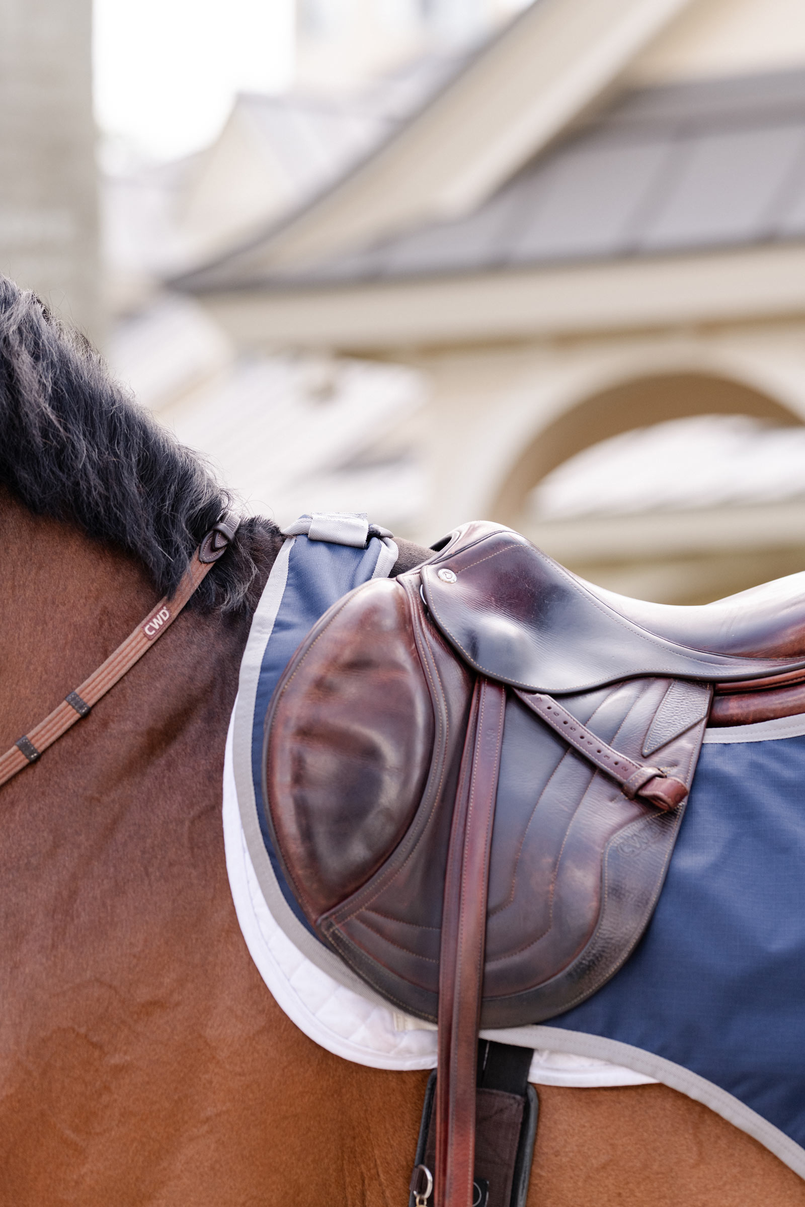 Horseware Amigo Ripstop Ausreitdecke