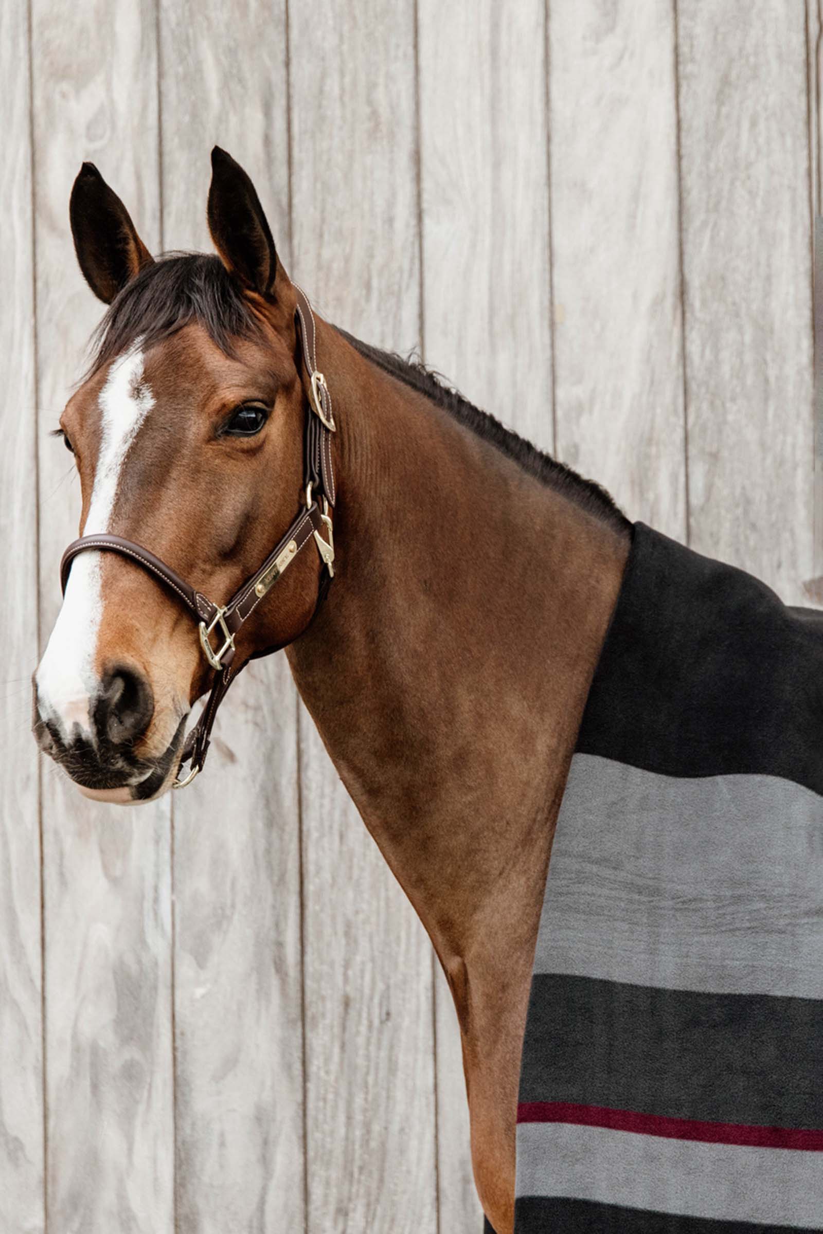 Kentucky Horsewear Schwere Fleecedecke