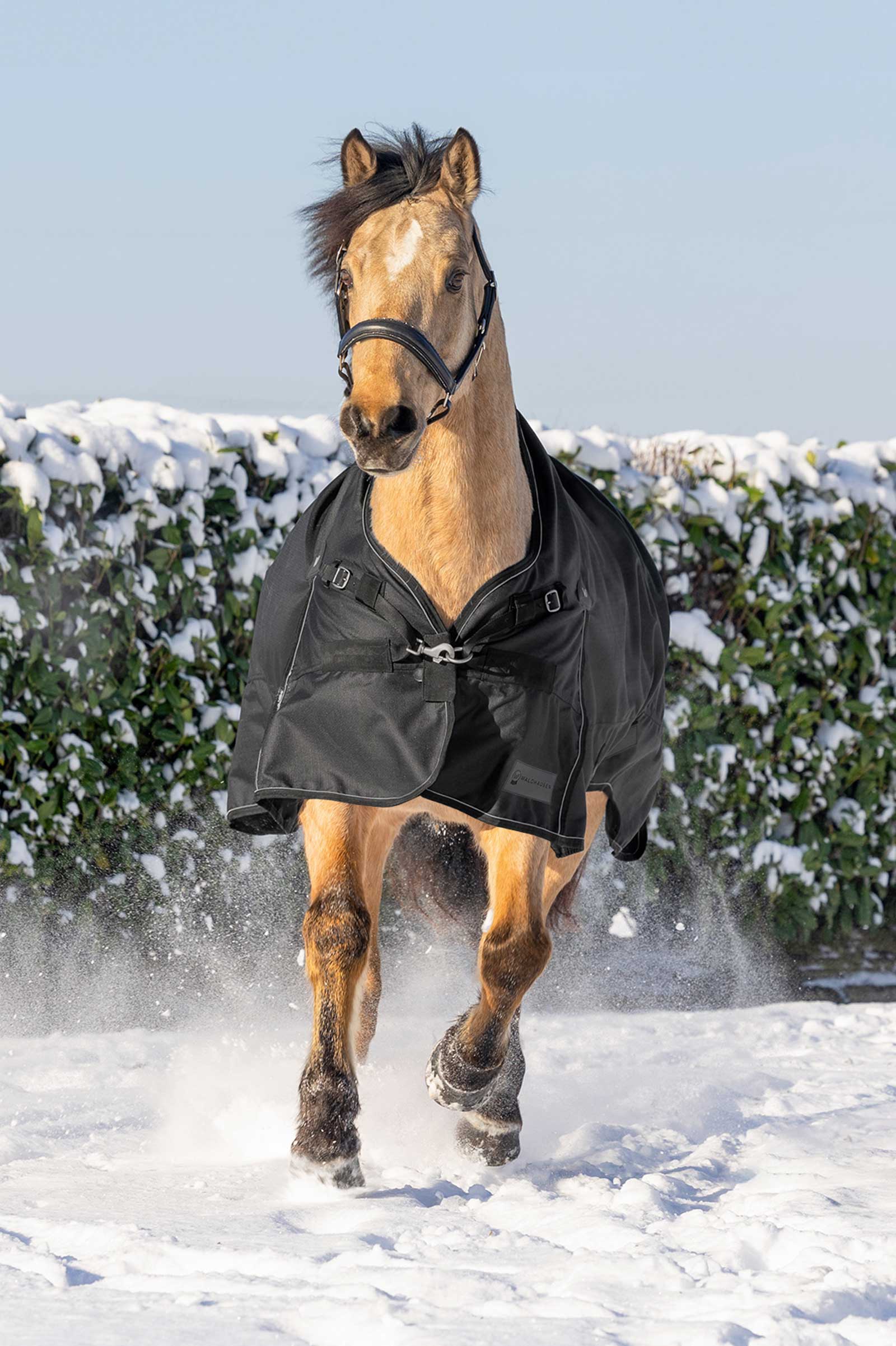 Waldhausen Scandic Weidedecke mit hohem Hals, 200 g