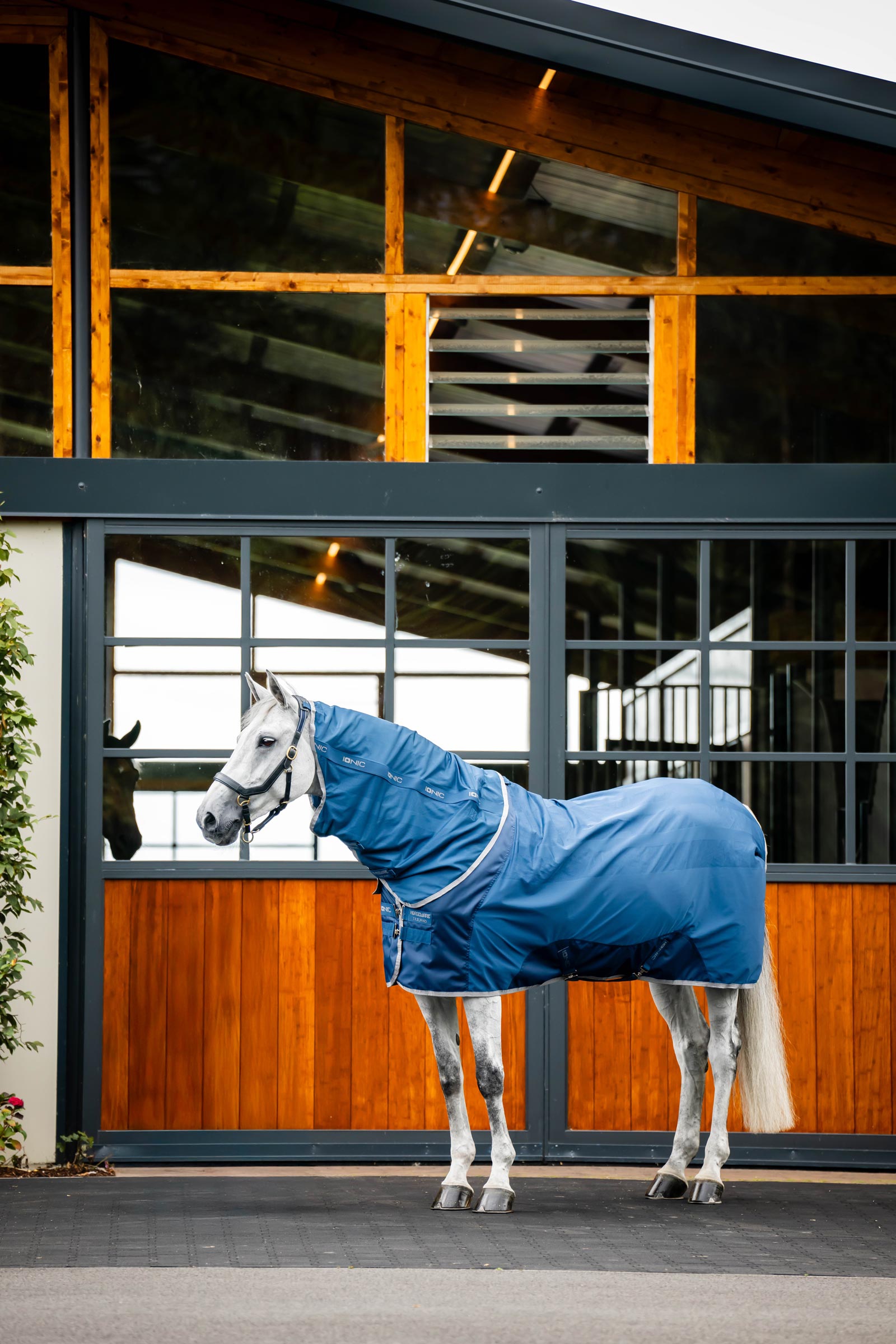 Horseware Ionic Therapy Mesh Abschwitzdecke