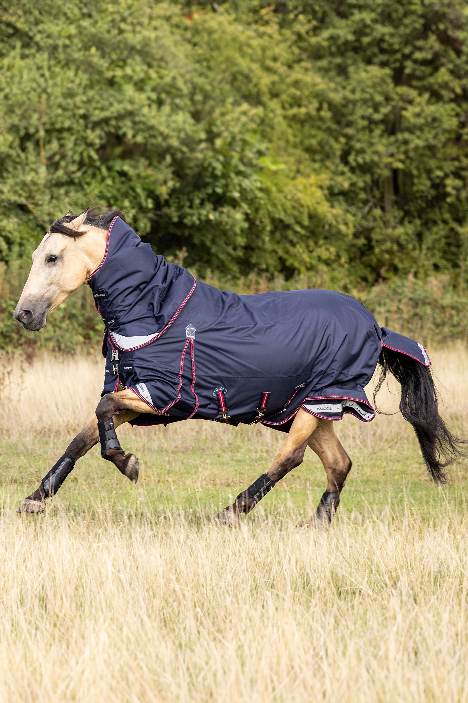 LeMieux Kudos leichte Weidedecke 100g