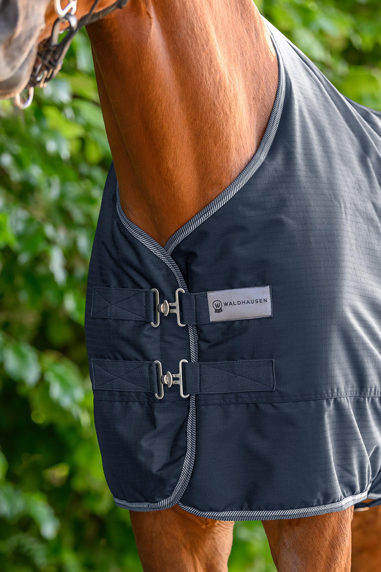 Waldhausen ECONOMIC leichte Outdoordecke