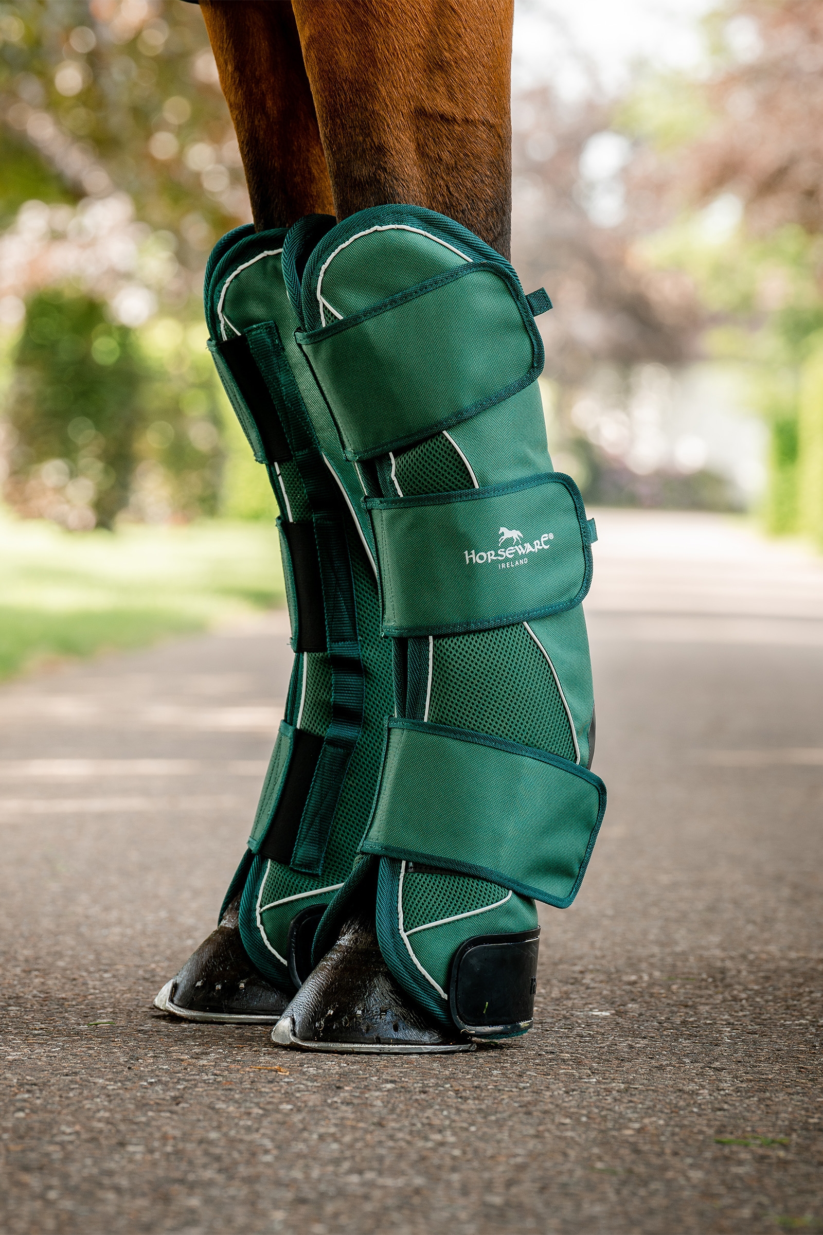 Horseware Signature Transport Gamaschen