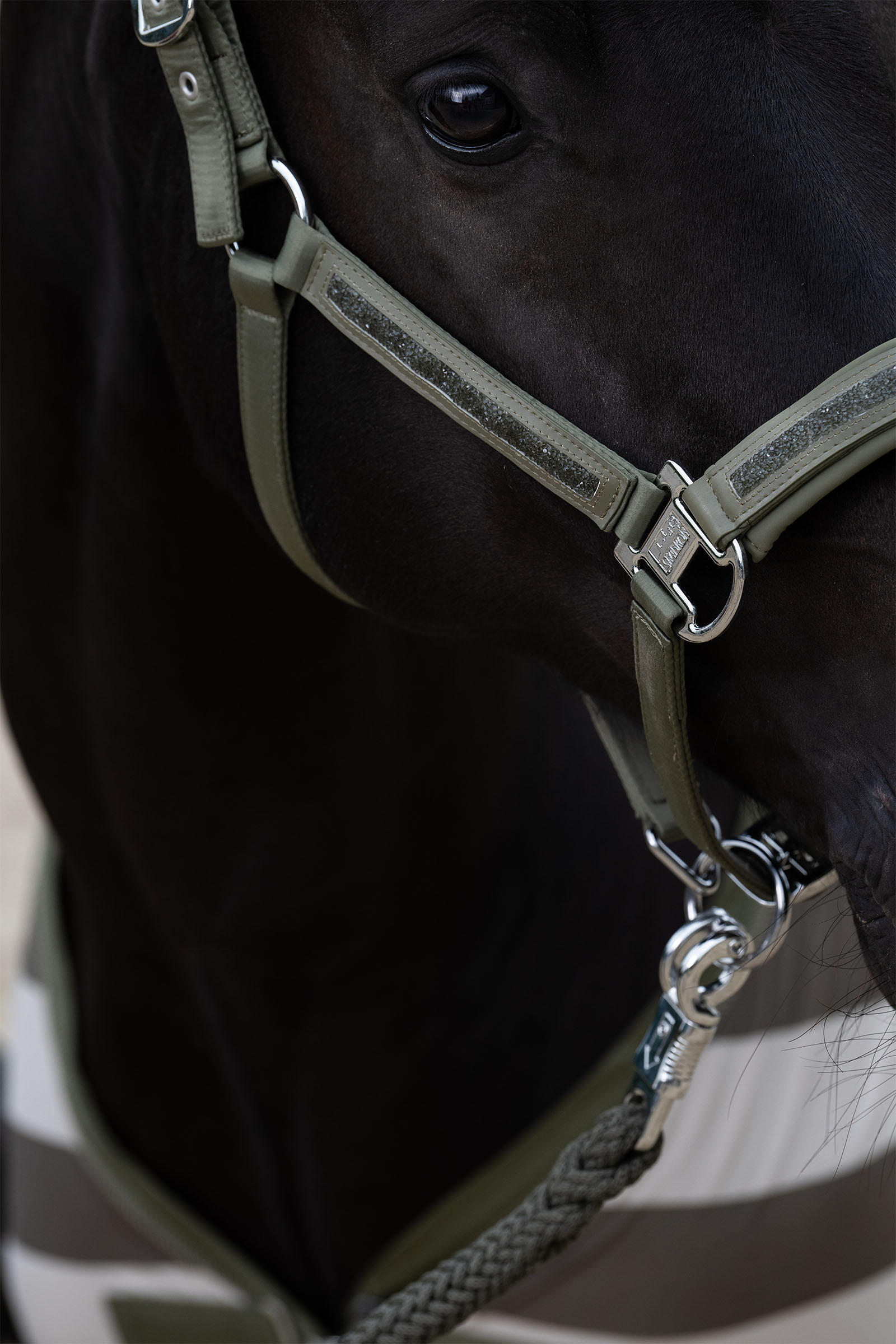 Eskadron Classic Sports SS25 Mattgloss Jewel Double Pin Halfter