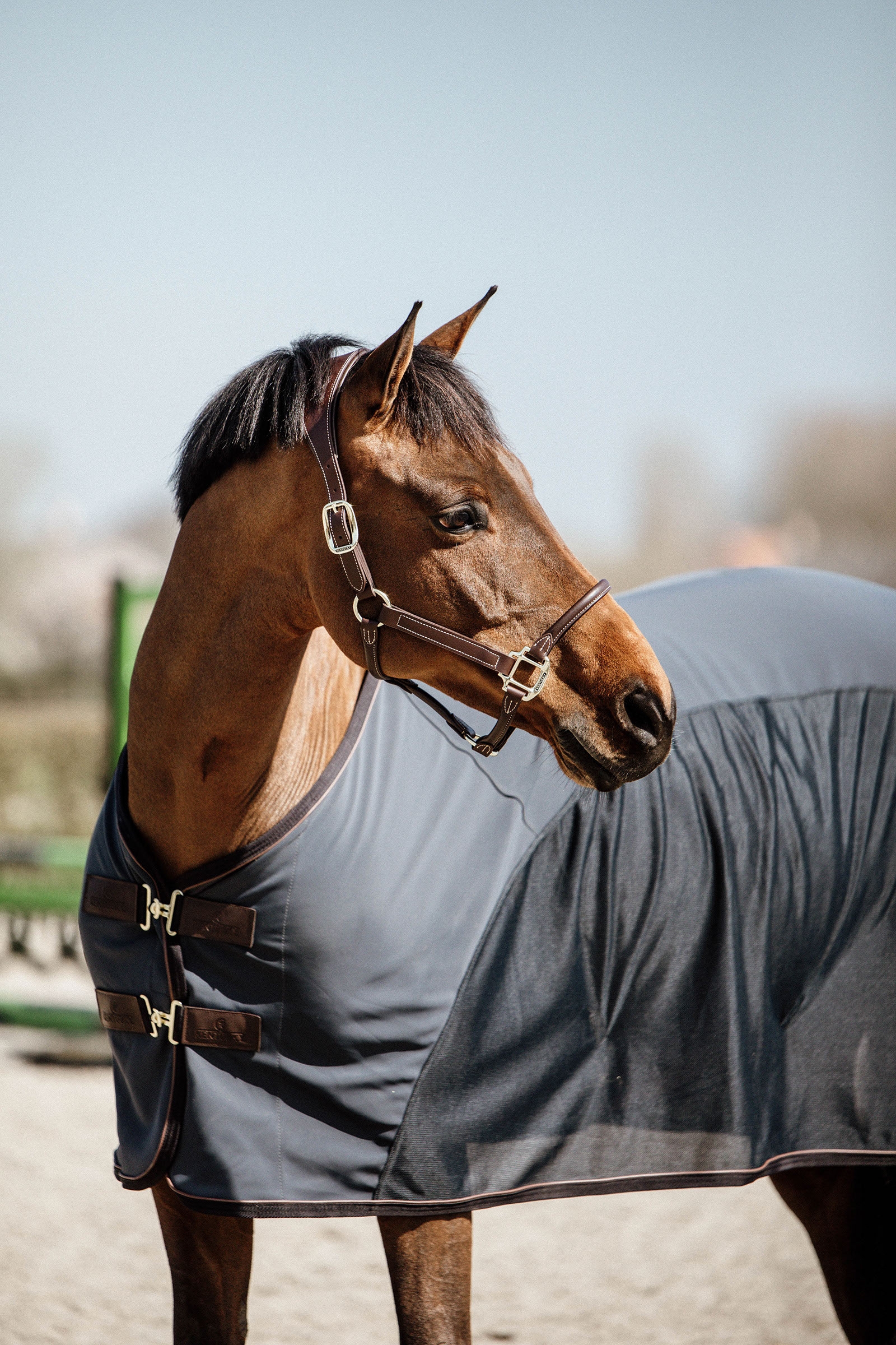 Kentucky Horsewear Softshell Abschwitzdecke