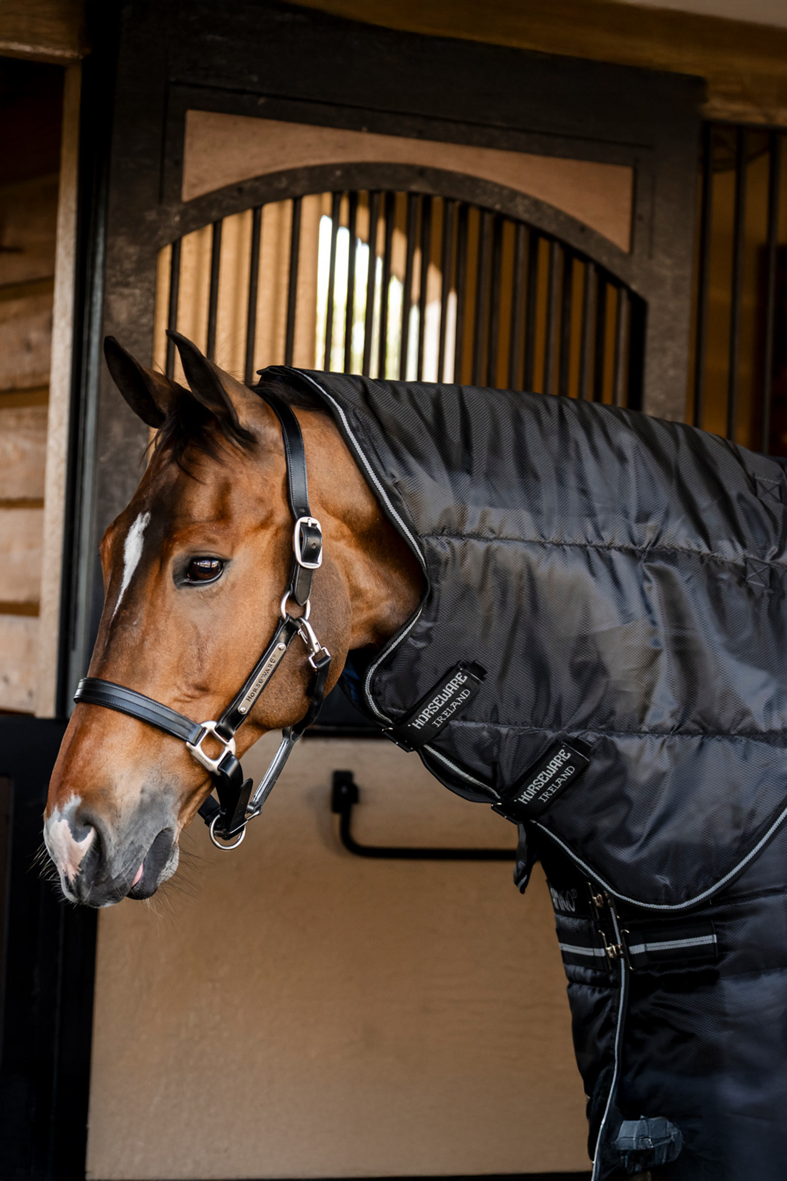 Black/Black/Silver Horseware Amigo Ripstop Insulator Plus Stalldecke, 350 g