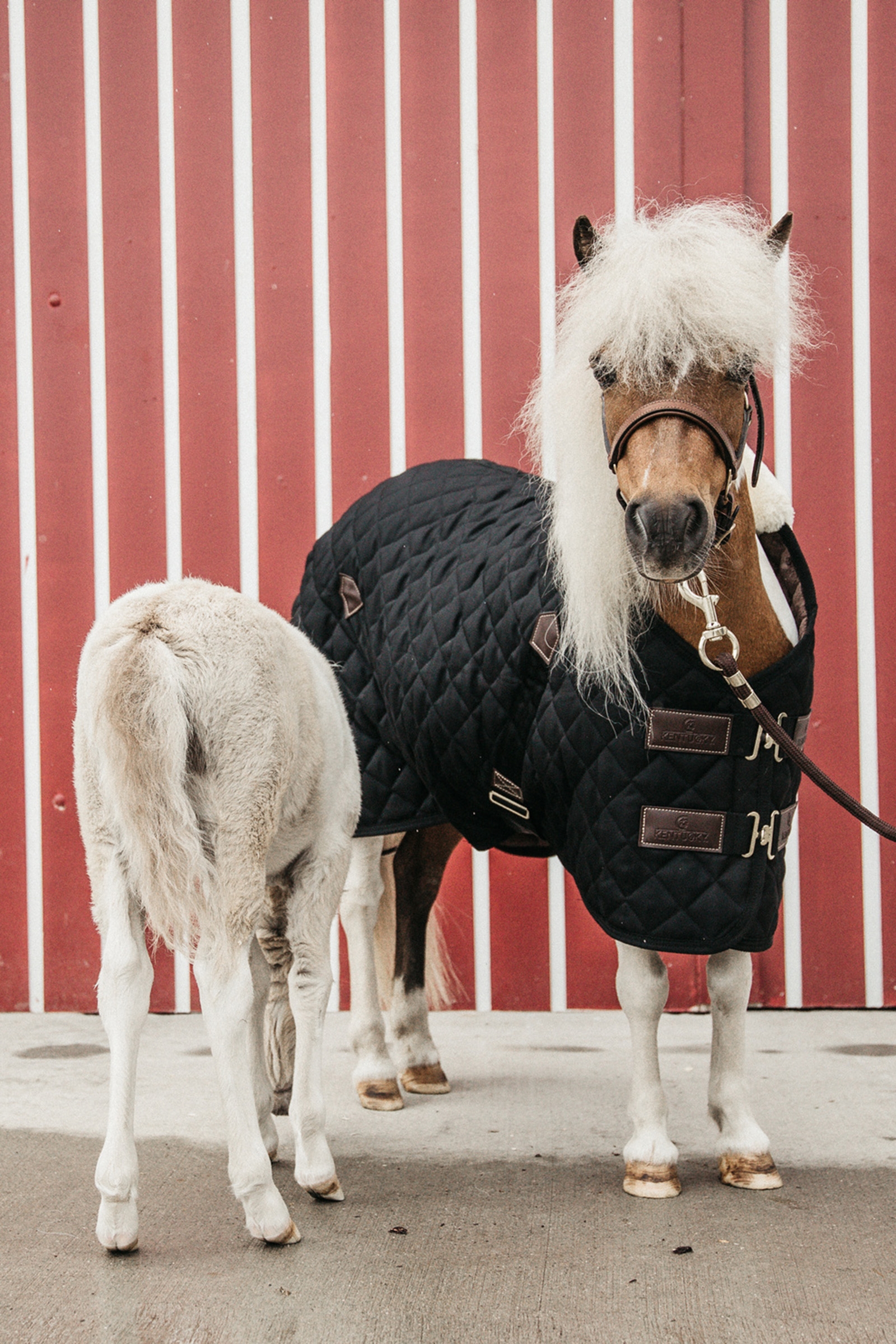 Kentucky Horsewear Stalldecke, 400g