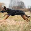 Back on Track Nella All-Round Hundemantel, 55-65 cm