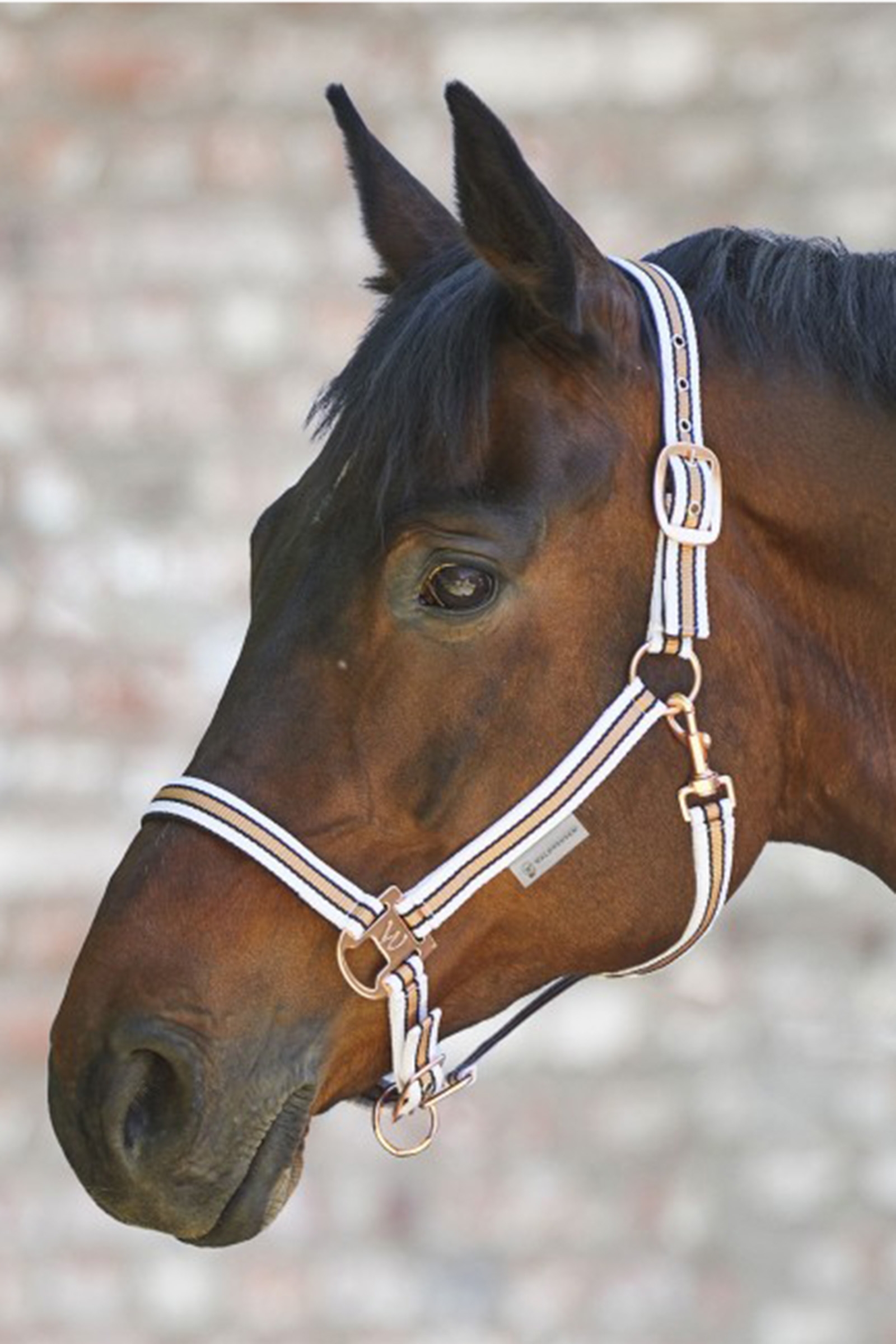 White / Rosegold Waldhausen Shine Halfter