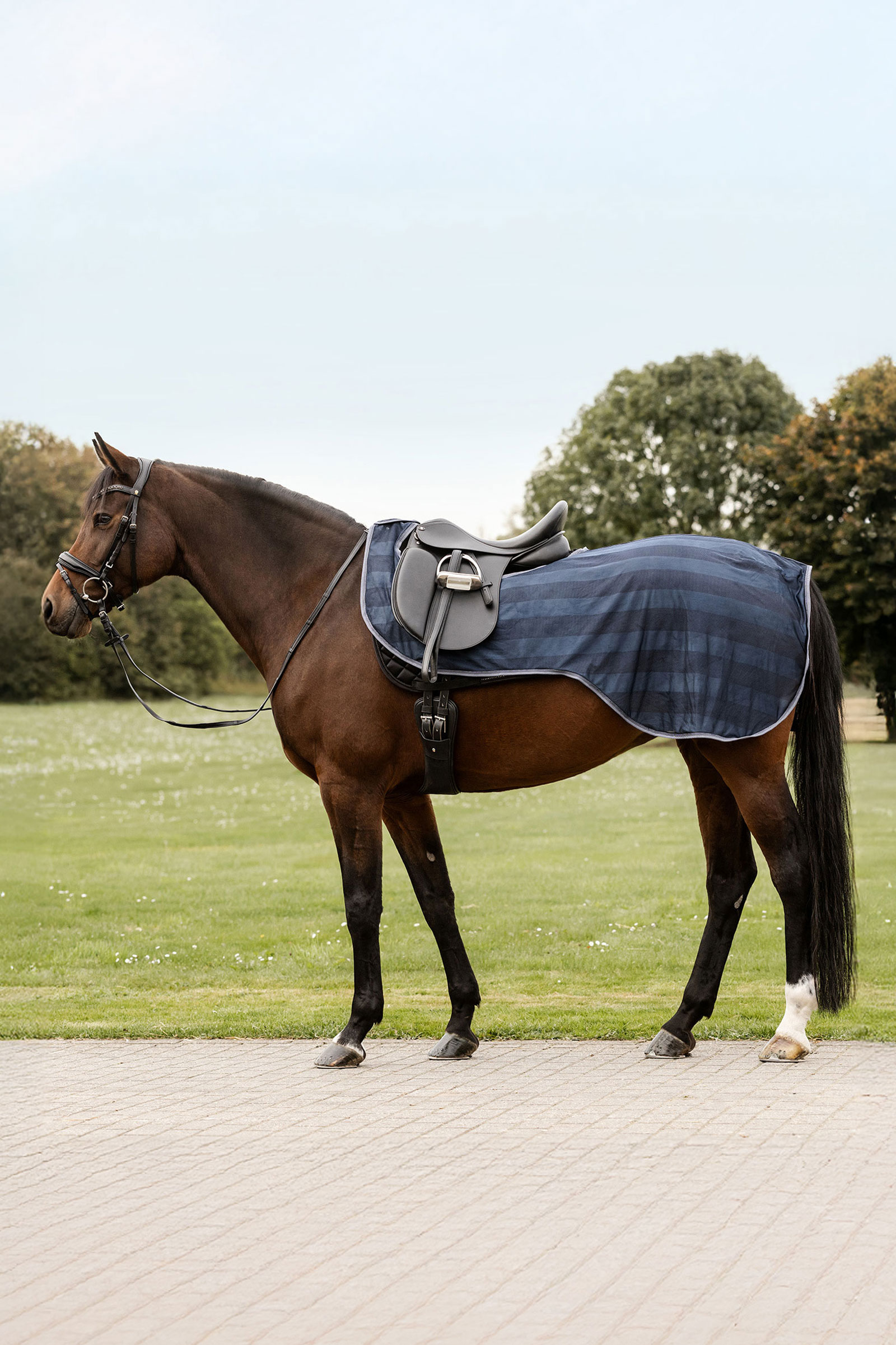 Waldhausen Economic Fliegen-Ausreitdecke