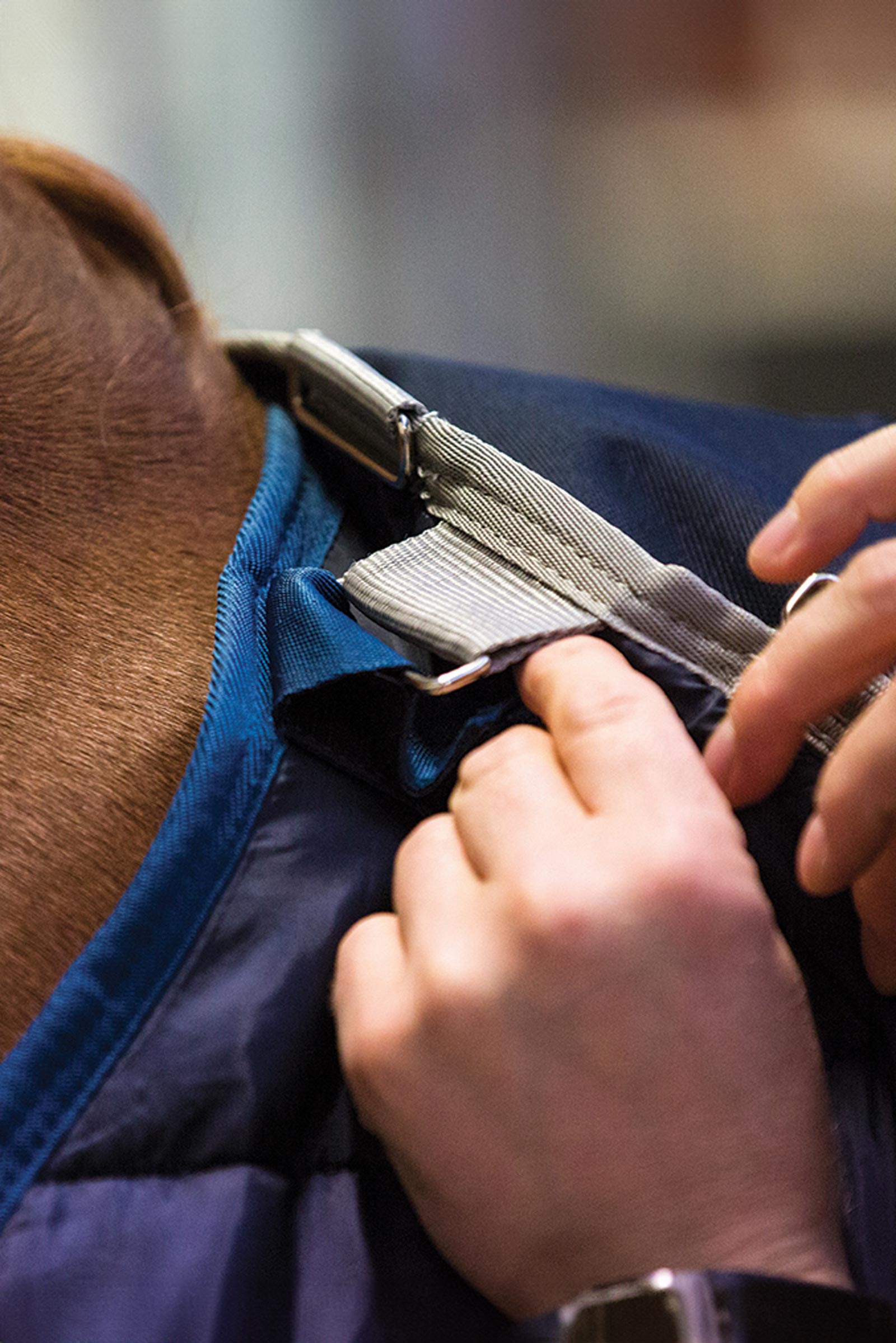 Horseware Liner Unterdecke, 100g