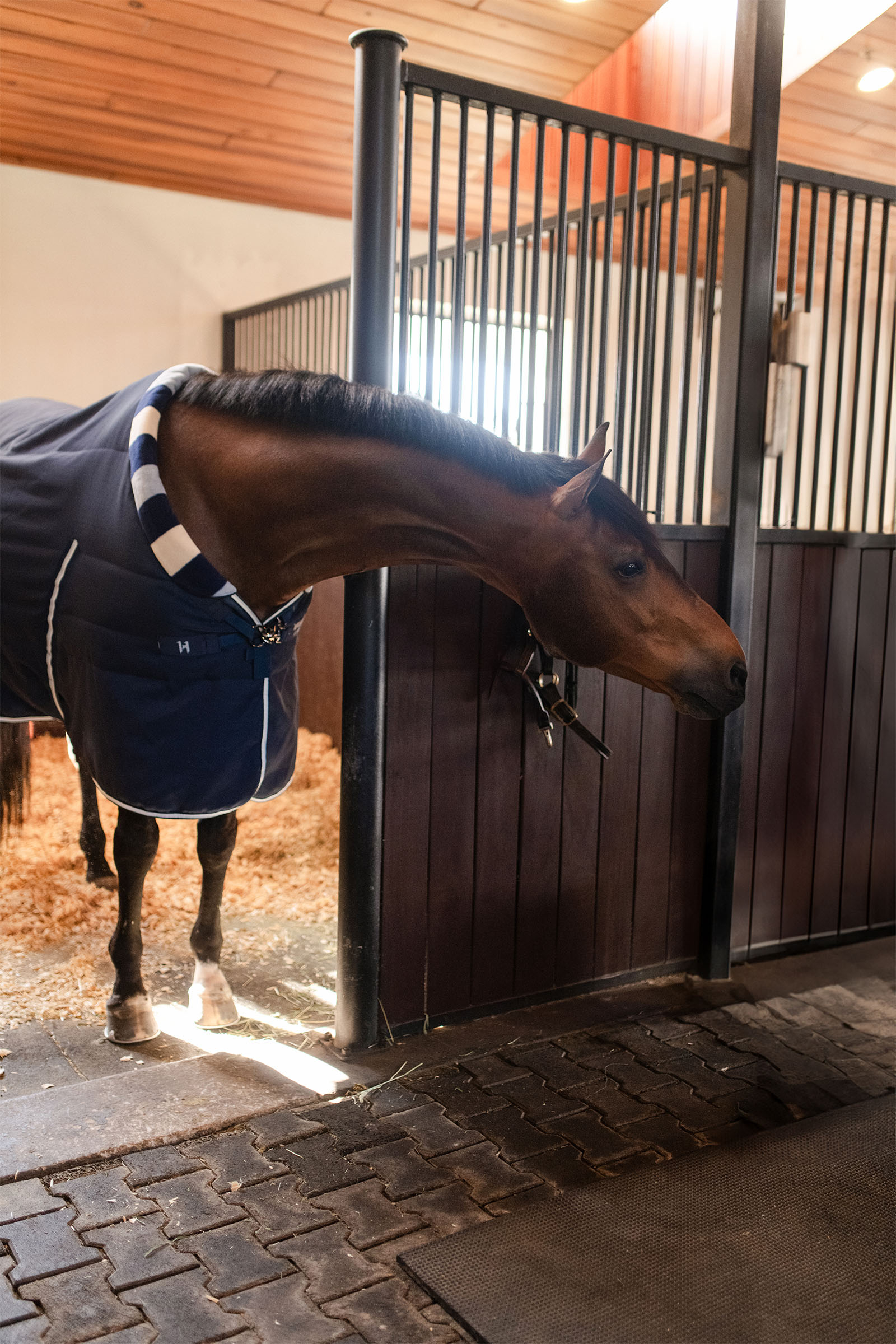 Horseware Newmarket Cosy Stalldecke 100g