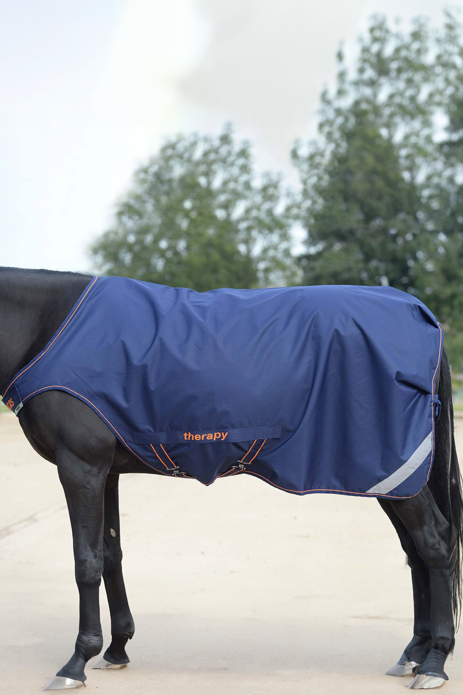 Bucas Therapy Führanlagendecke