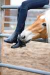 Cavallo CavalChelsea Slim Reitstiefeletten