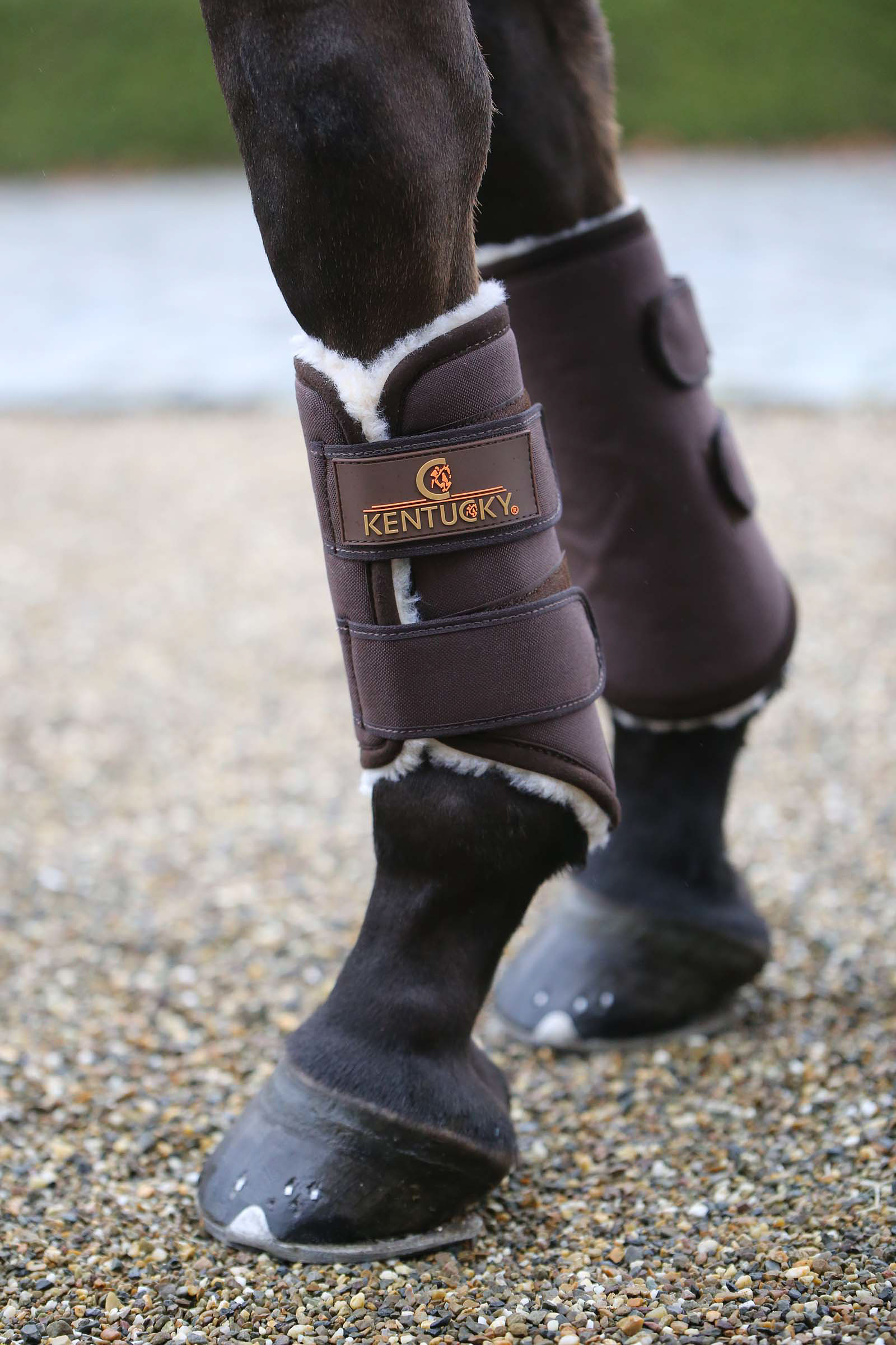Brown Kentucky Horsewear Solimbra Arbeitsgamaschen Hinten