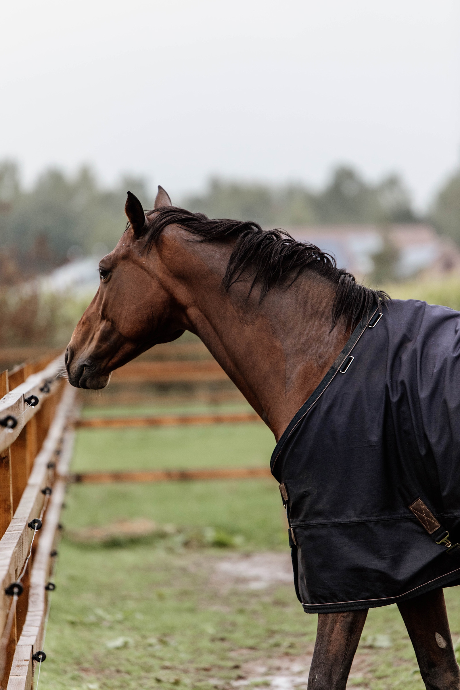 Kentucky Horsewear All Weather Weidedecke,  300g