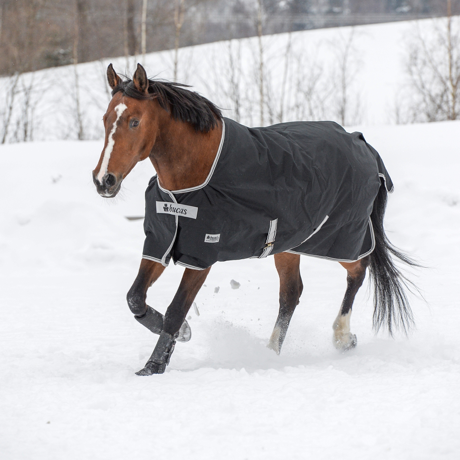 Bucas Anniversary Light SD Turnout Regendecke, 150g