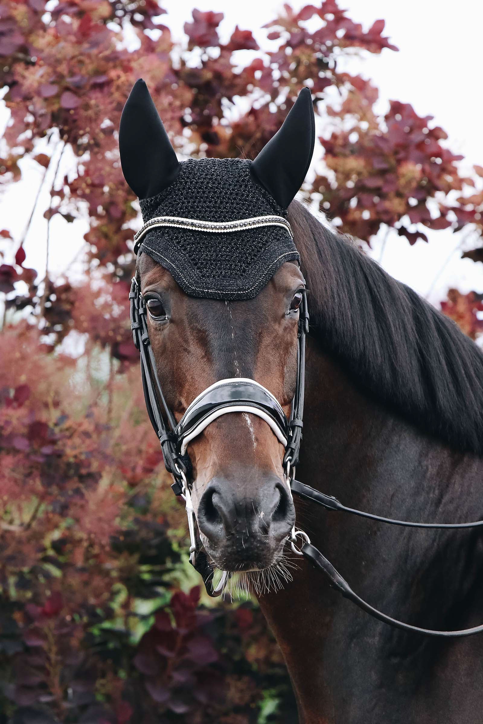 Kentucky Horsewear Wellington Sparkling Fliegenhaube