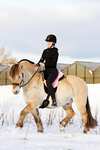 F.R.A. Freedom Riding Articles Macon Extra Lammfell Reitkissen mit Pauschen, S