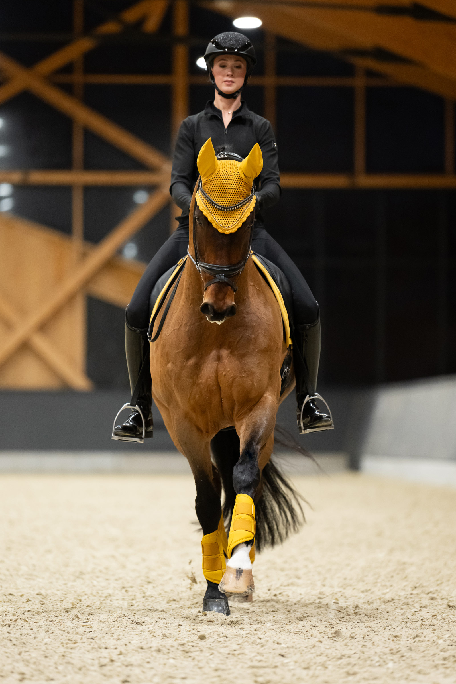 Eskadron Platinum 25 Gamaschen aus Kunstleder