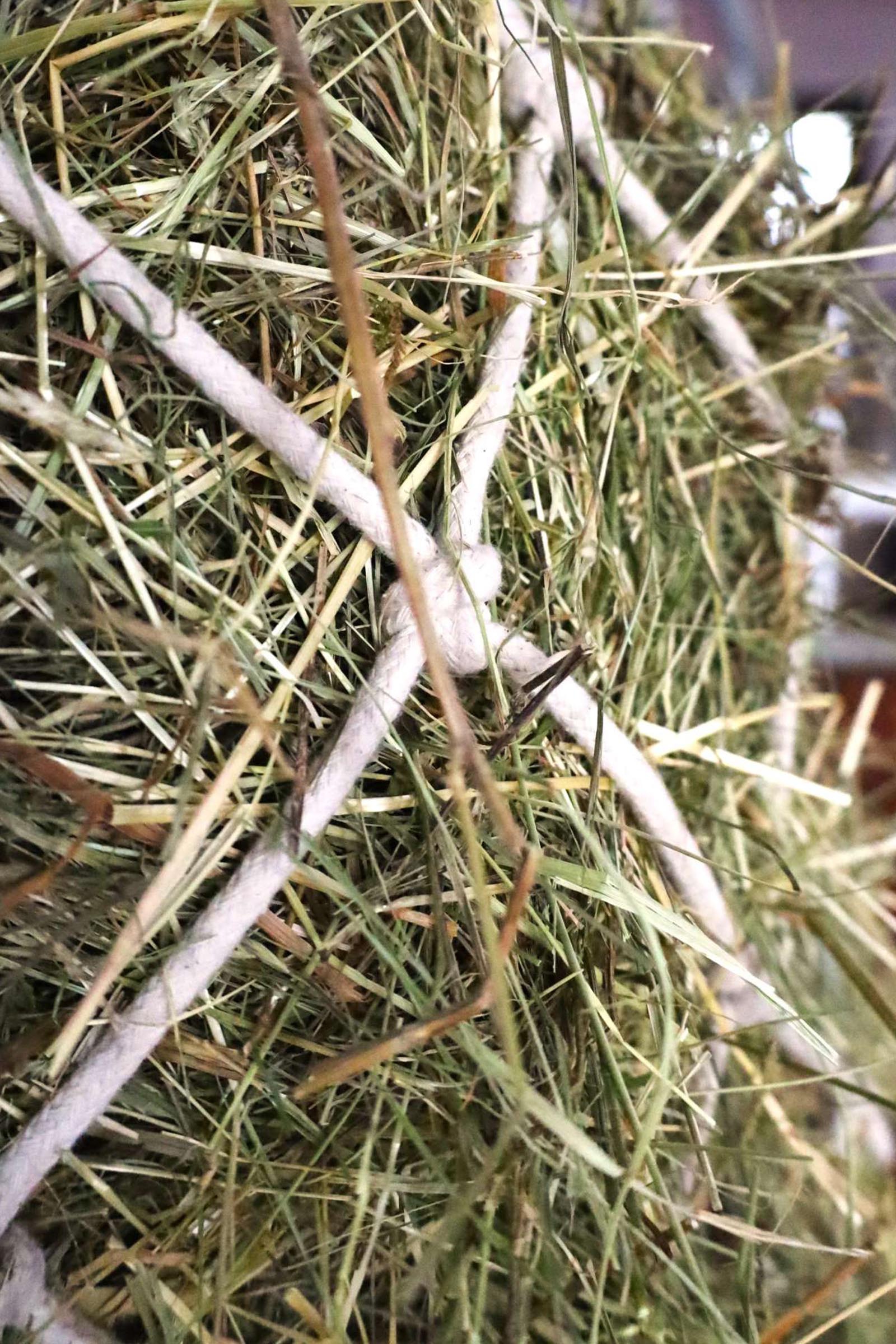 USG Baumwoll-Heunetz, Maschenweite 10 x 10 cm