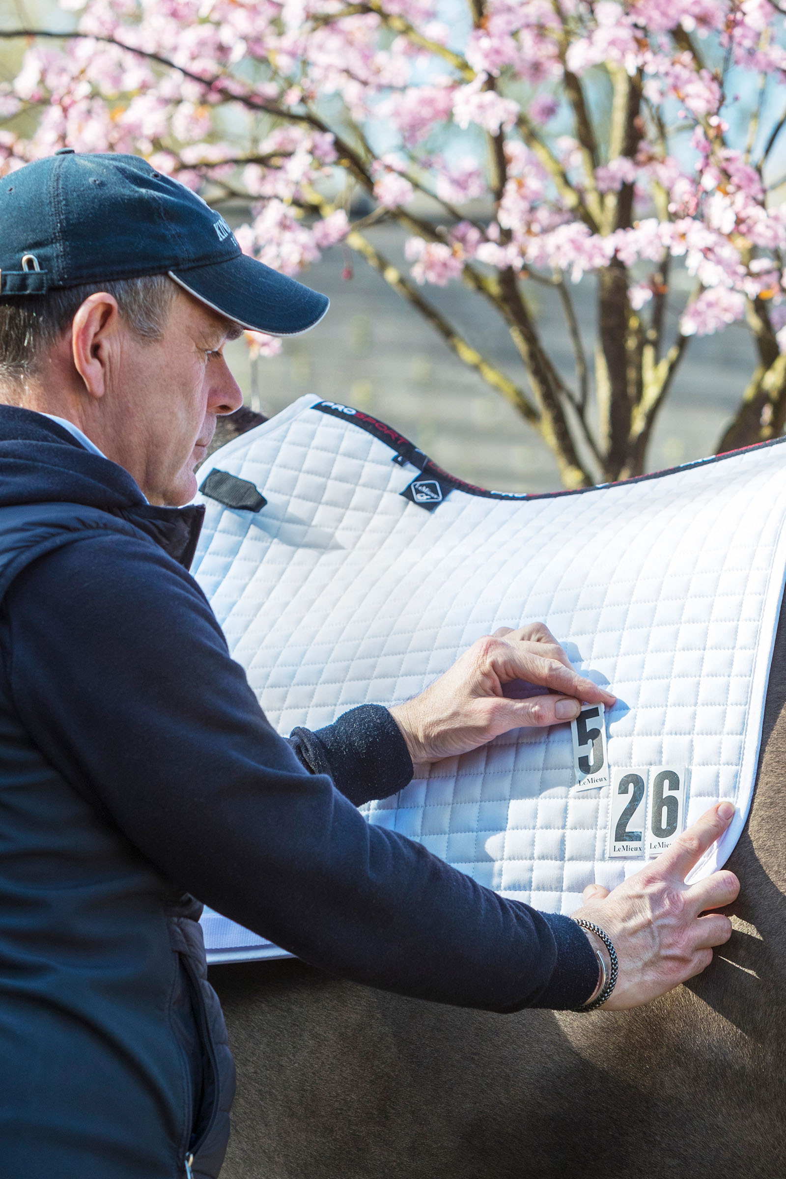 LeMieux Dressage Competition Square Dressurschabracke