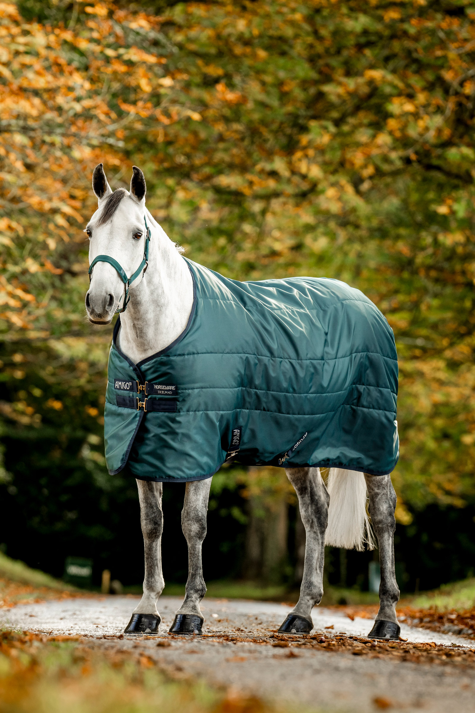 Horseware Amigo Ripstop Insulator Stalldecke, 50g