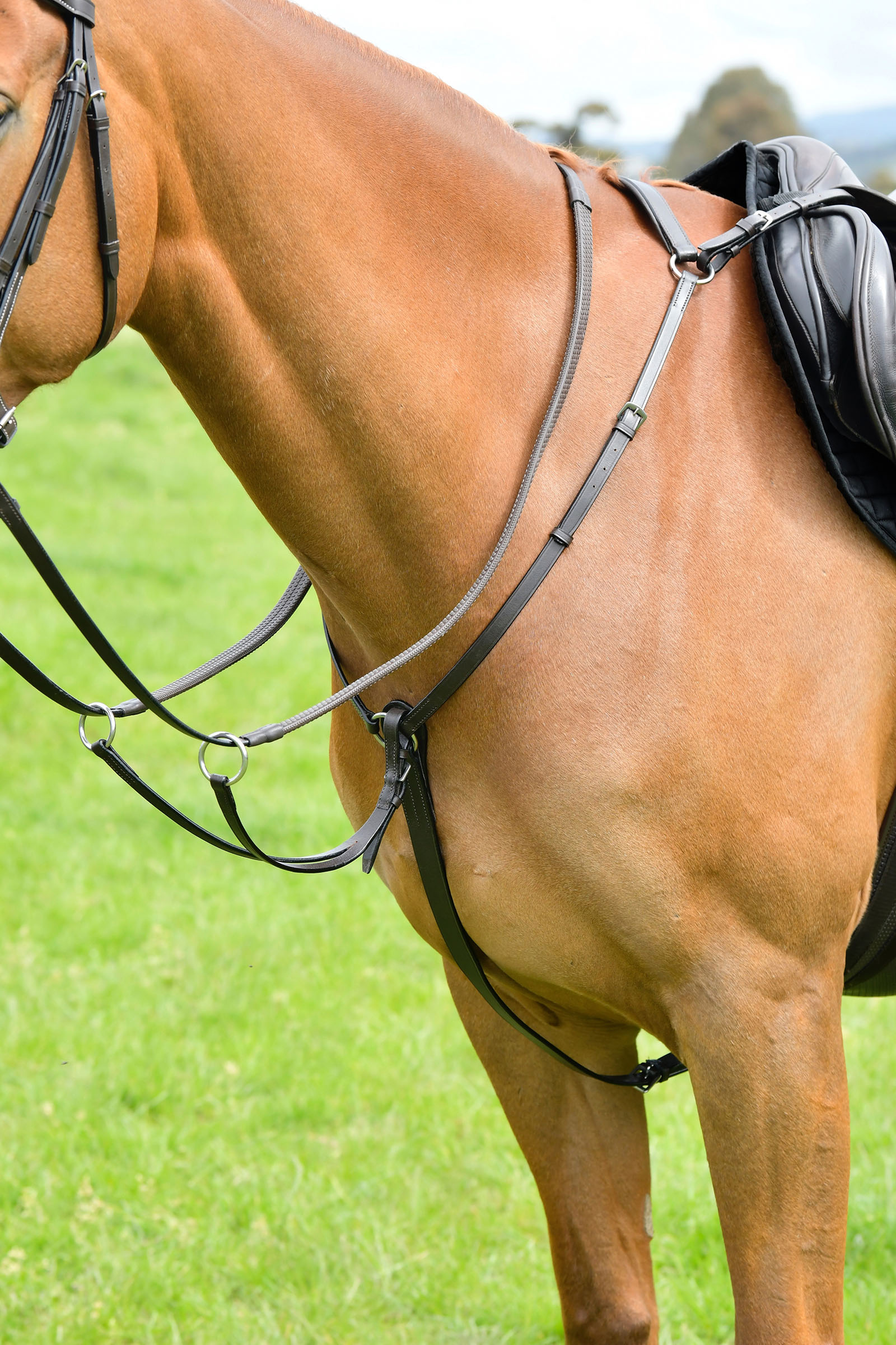 Brown Kincade Classic 3-Punkt Vorderzeug mit laufendem Martingal