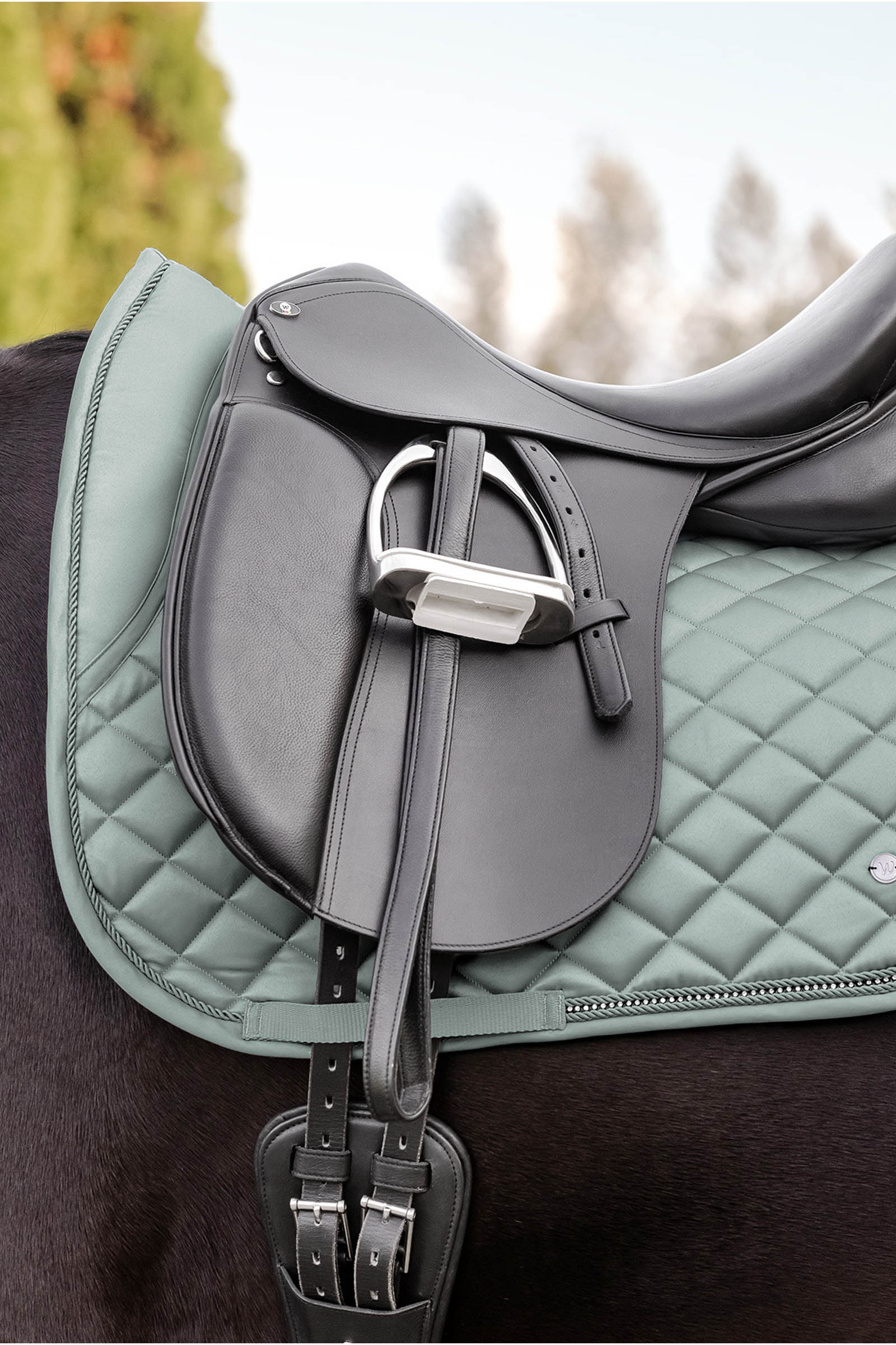 Waldhausen Nepal Vielseitigkeit Schabracke