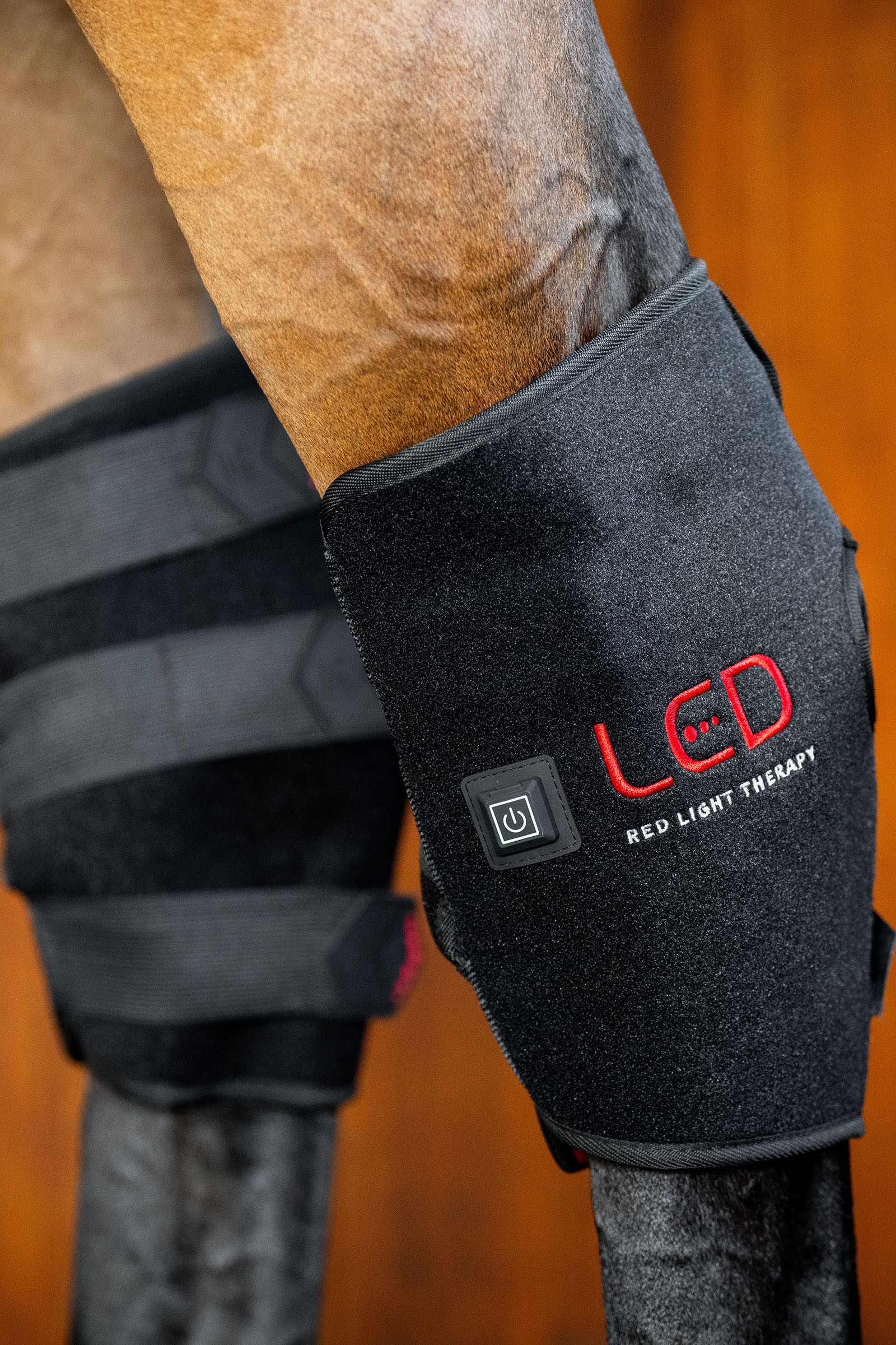 Horseware LED Rotlicht-Therapie Sprunggelenksgamasche (1 Stk.)