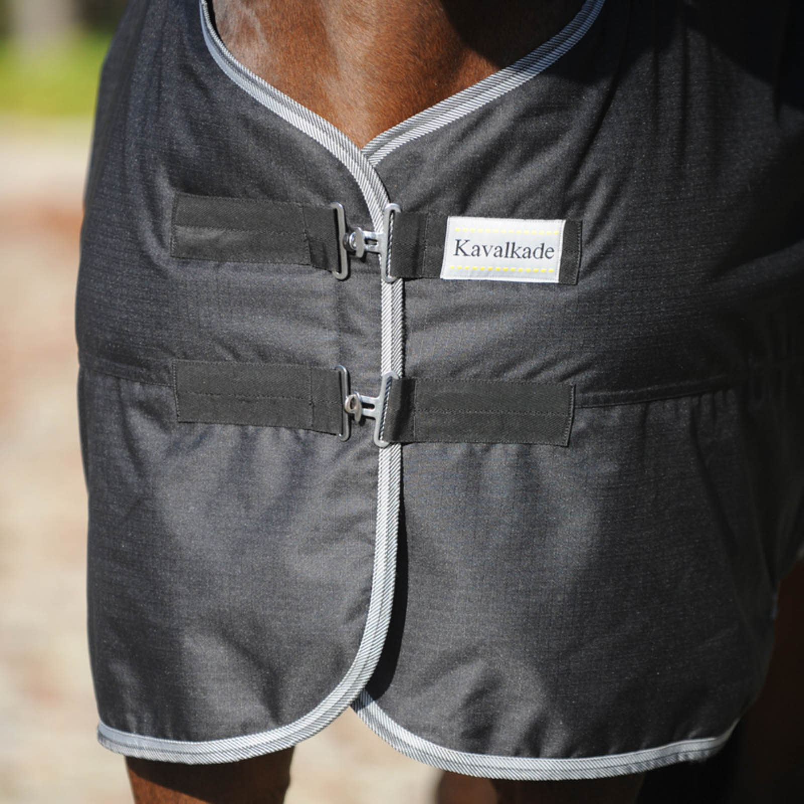 Kavalkade Winnipeg Weidedecke, 50g