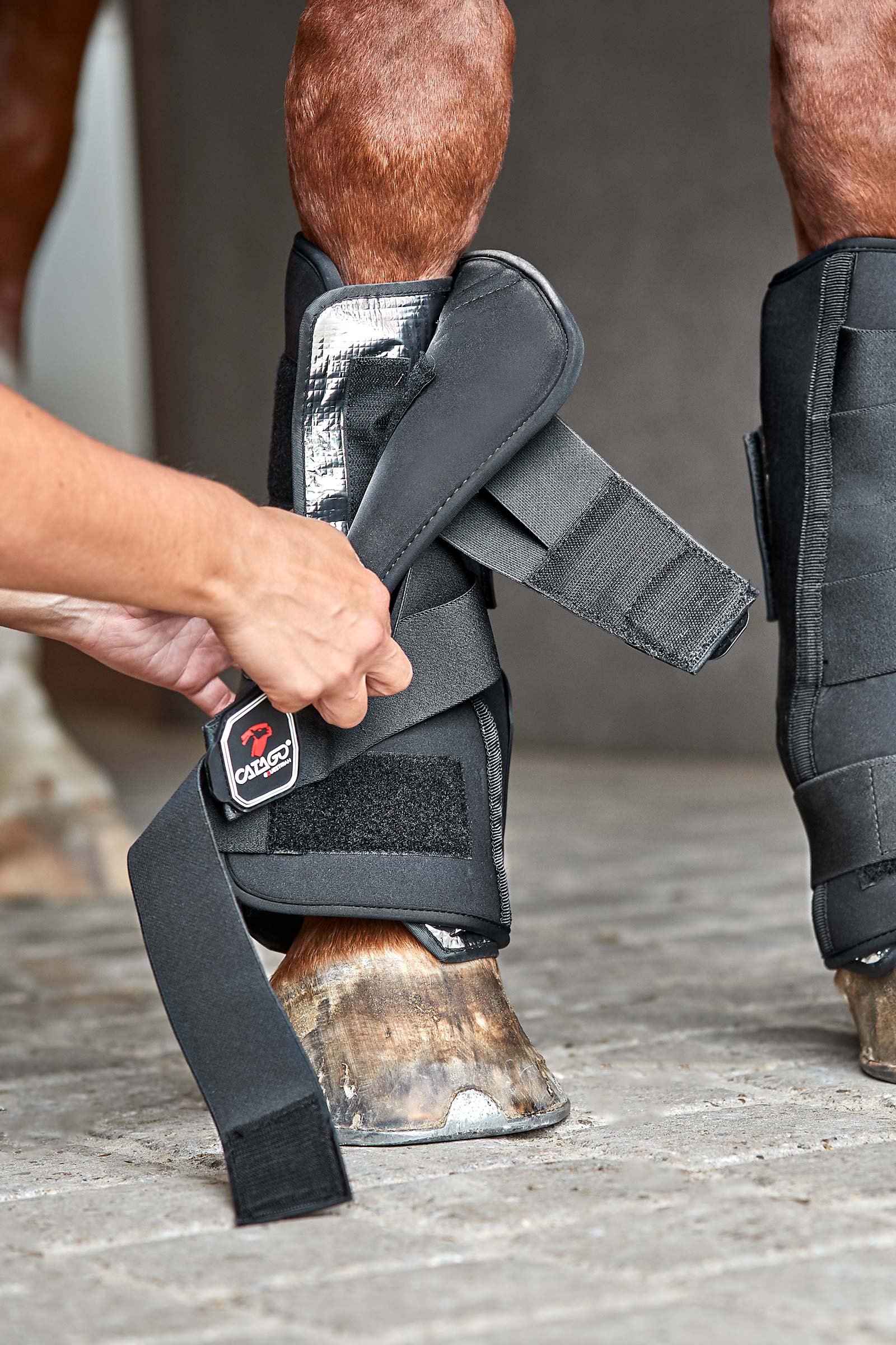 Catago Neoprene Stallgamaschen