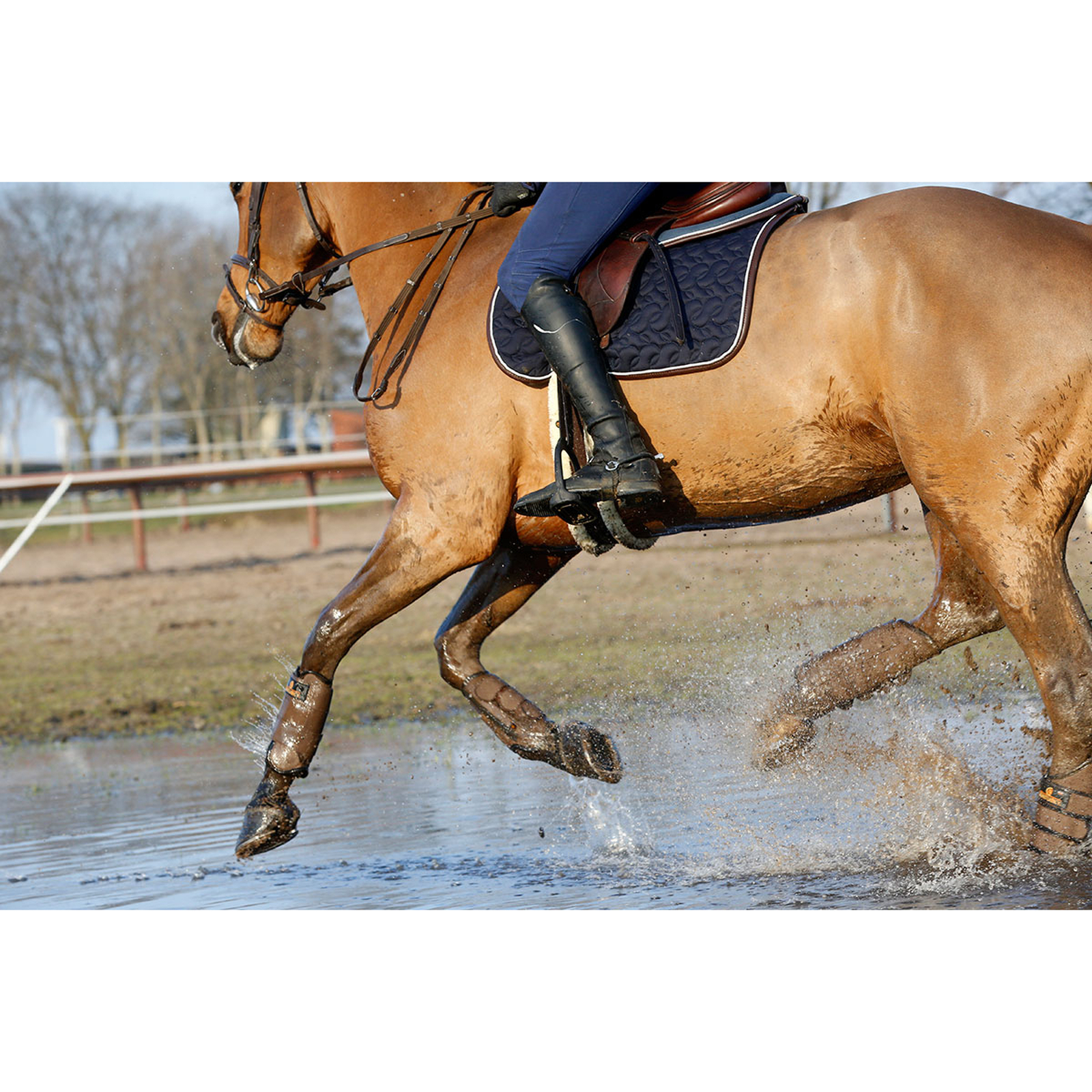 Kentucky Horsewear Schabracke Absorb