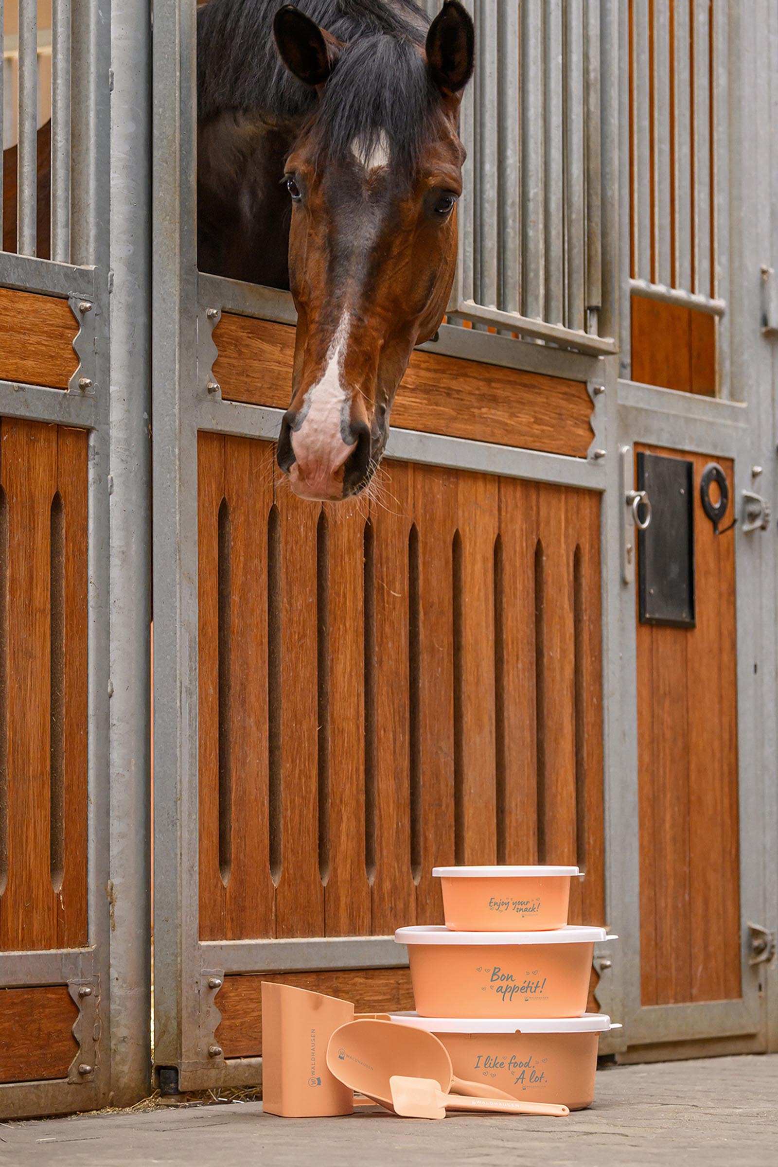 Waldhausen Futterschaufel (2L)