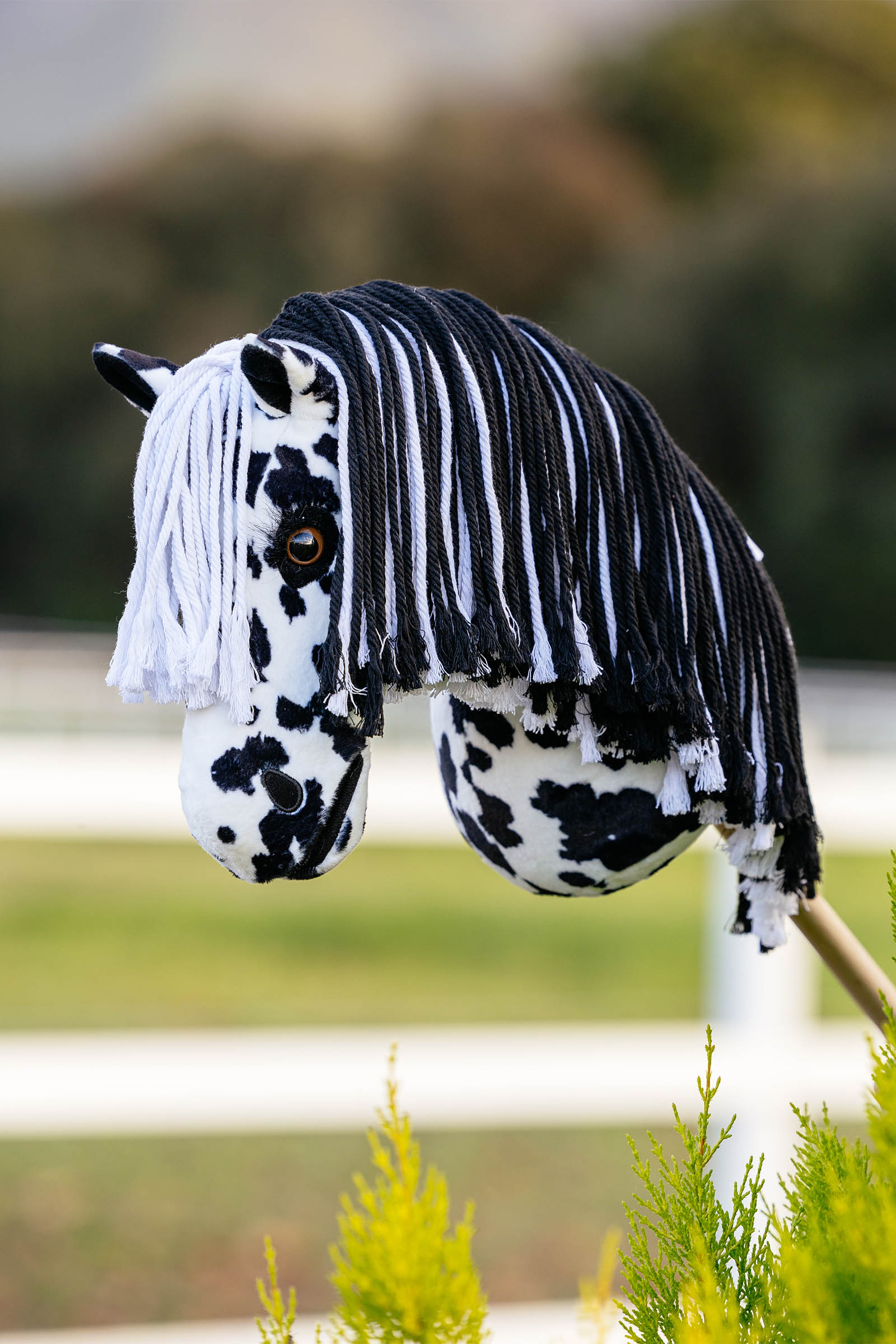 LeMieux Dakota Steckenpferd