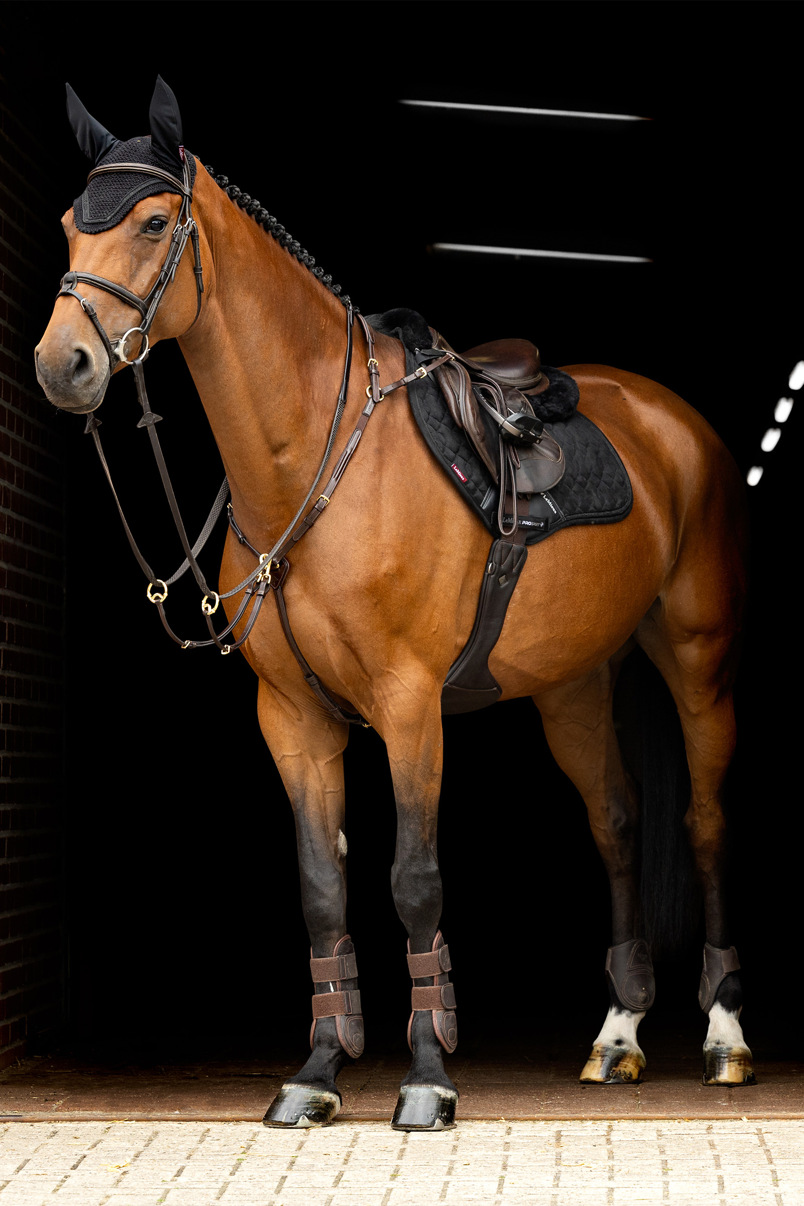 LeMieux Crystal Fliegenhaube