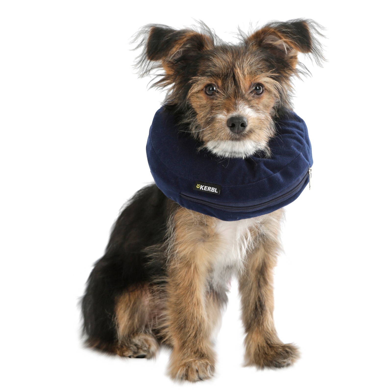 Kerbl Hundehalskrause aufblasbar, 36-50cm