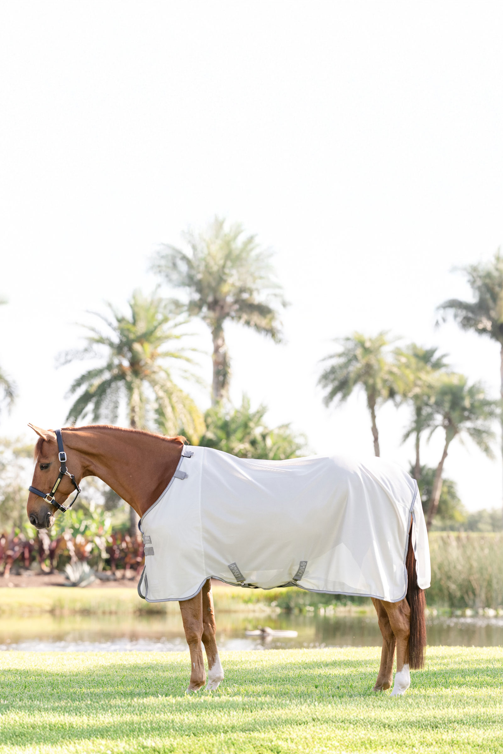 Horseware Amigo Fliegendecke mit UV-Schutz