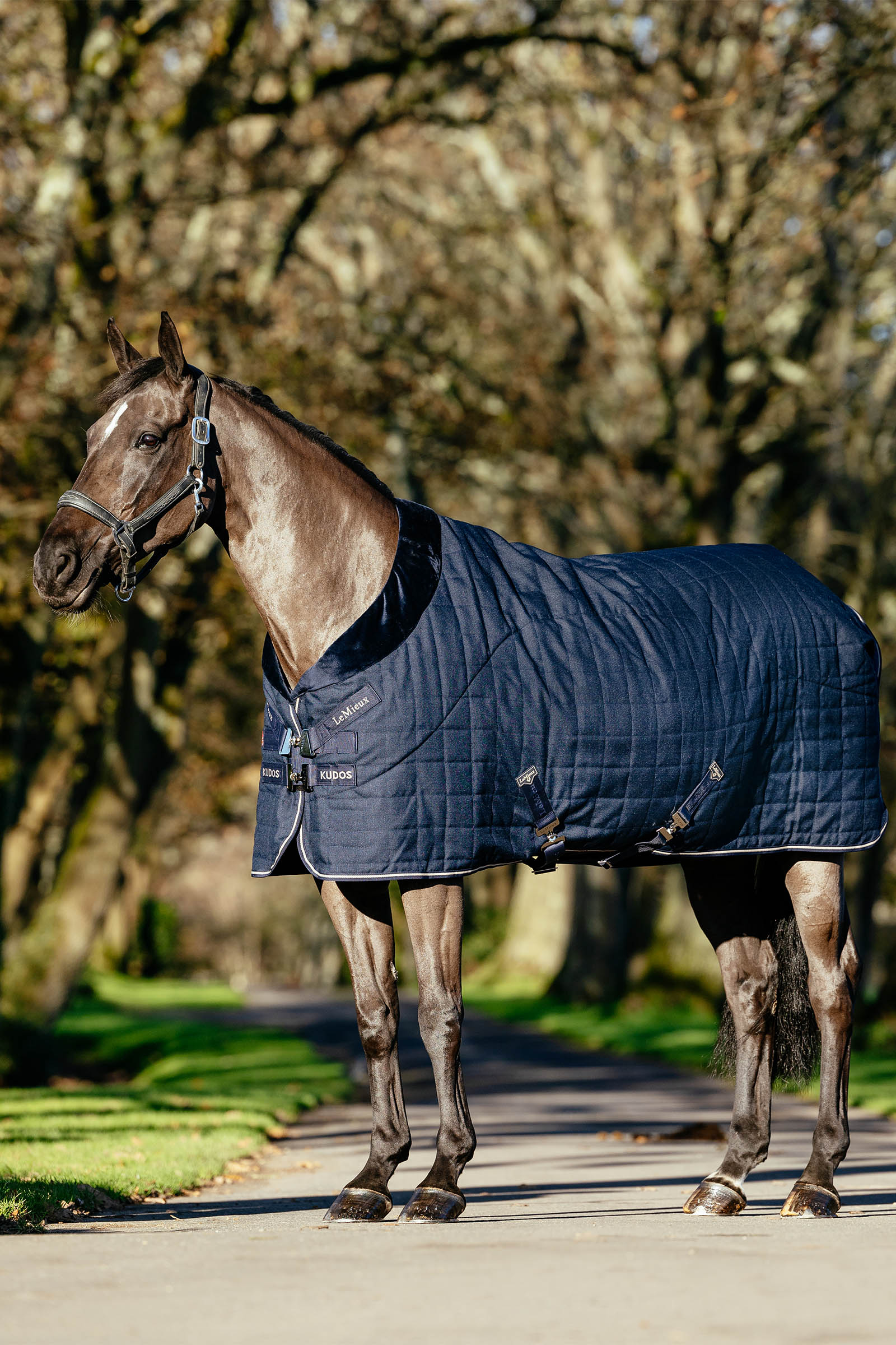 LeMieux Kudos Luxe gef&uuml;tterte Stalldecke, 100 g