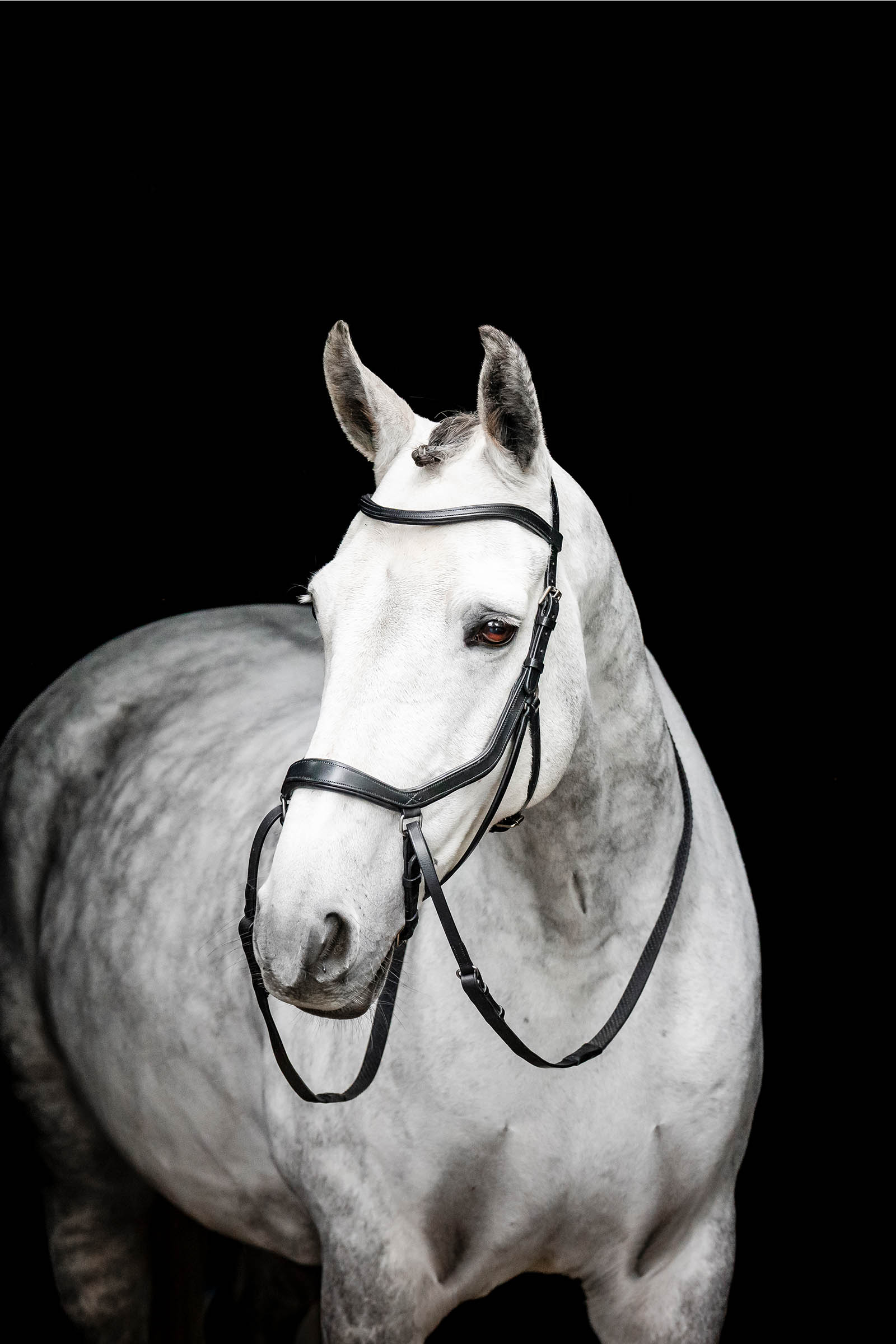 Horseware Micklem gebisslose Trense