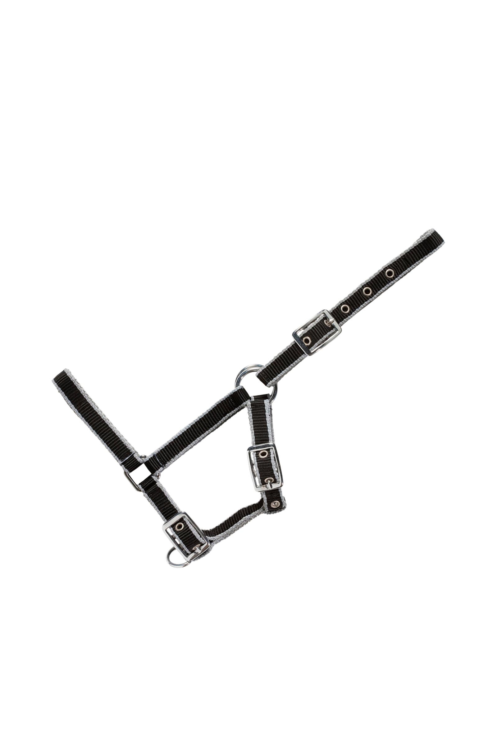 Black/Grey USG Verstellbares Fohlenhalfter