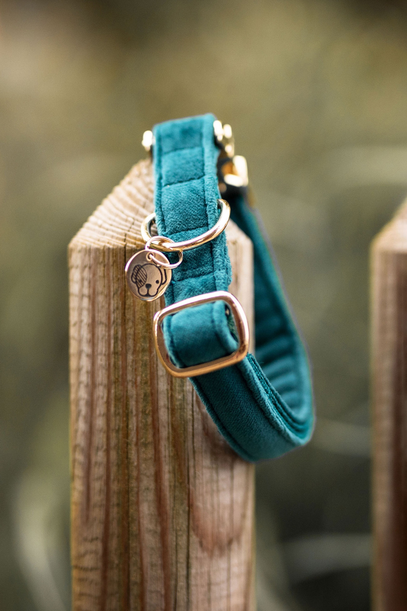 Kentucky Dogwear Hundehalsband Velvet