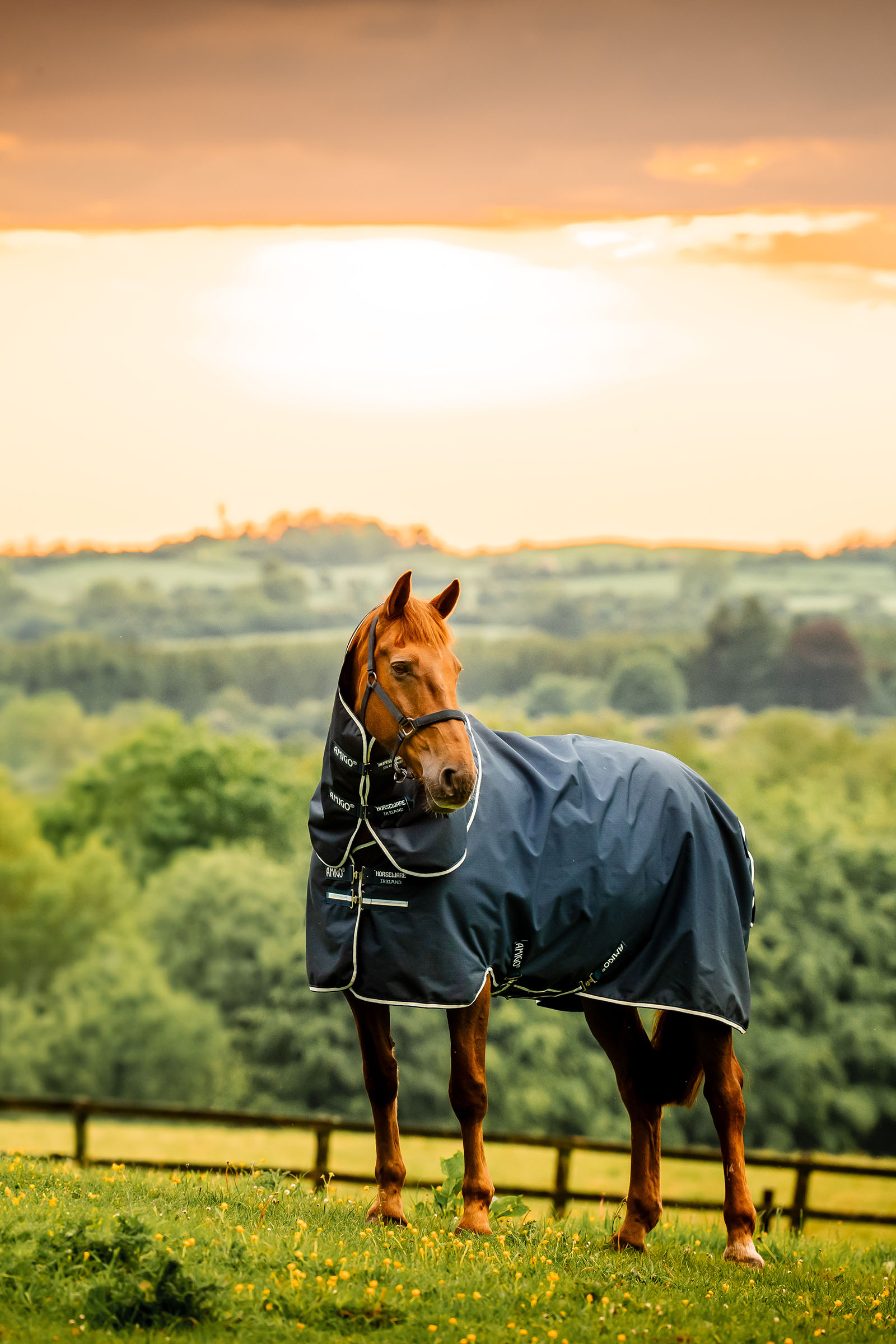 Witney Navy Horseware Amigo Ripstop 900D Plus Weidedecke mit abnehmbarem Halsteil, 100 g