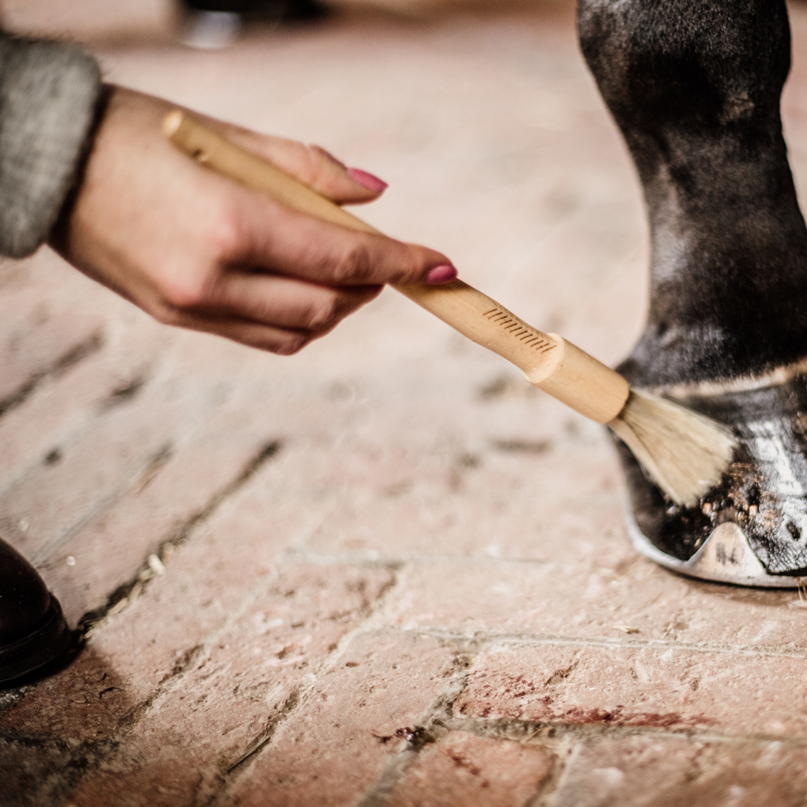 Grooming Deluxe Hufpinsel