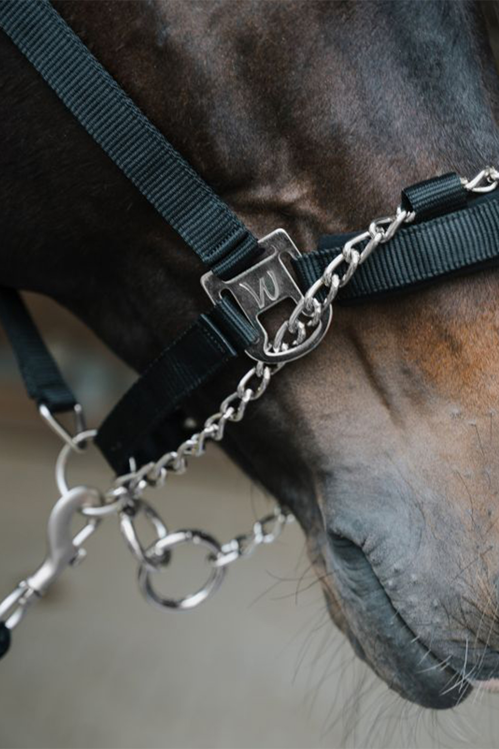 Waldhausen Pro Safety Halfter