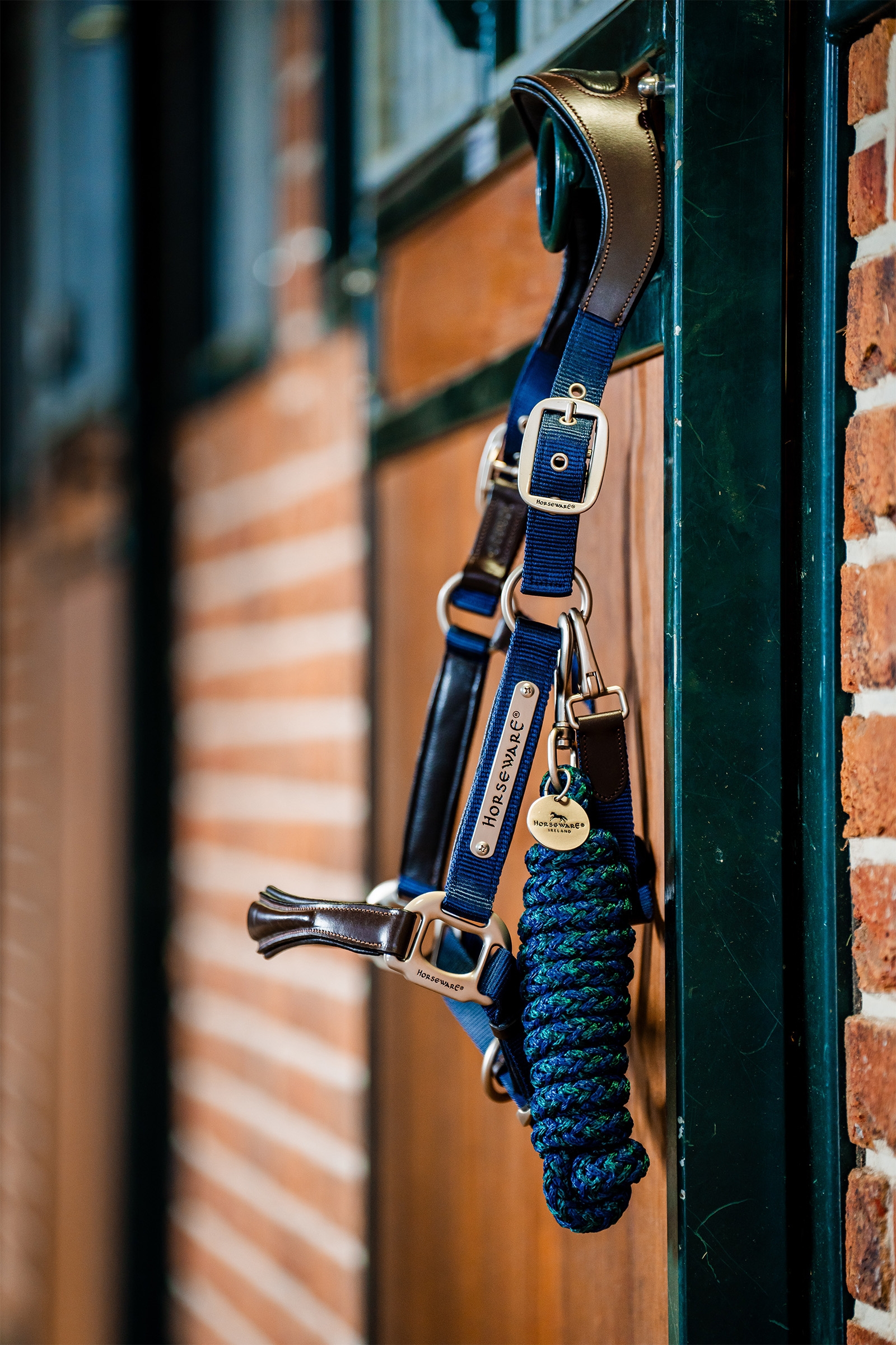 Horseware Signature Show Halfter