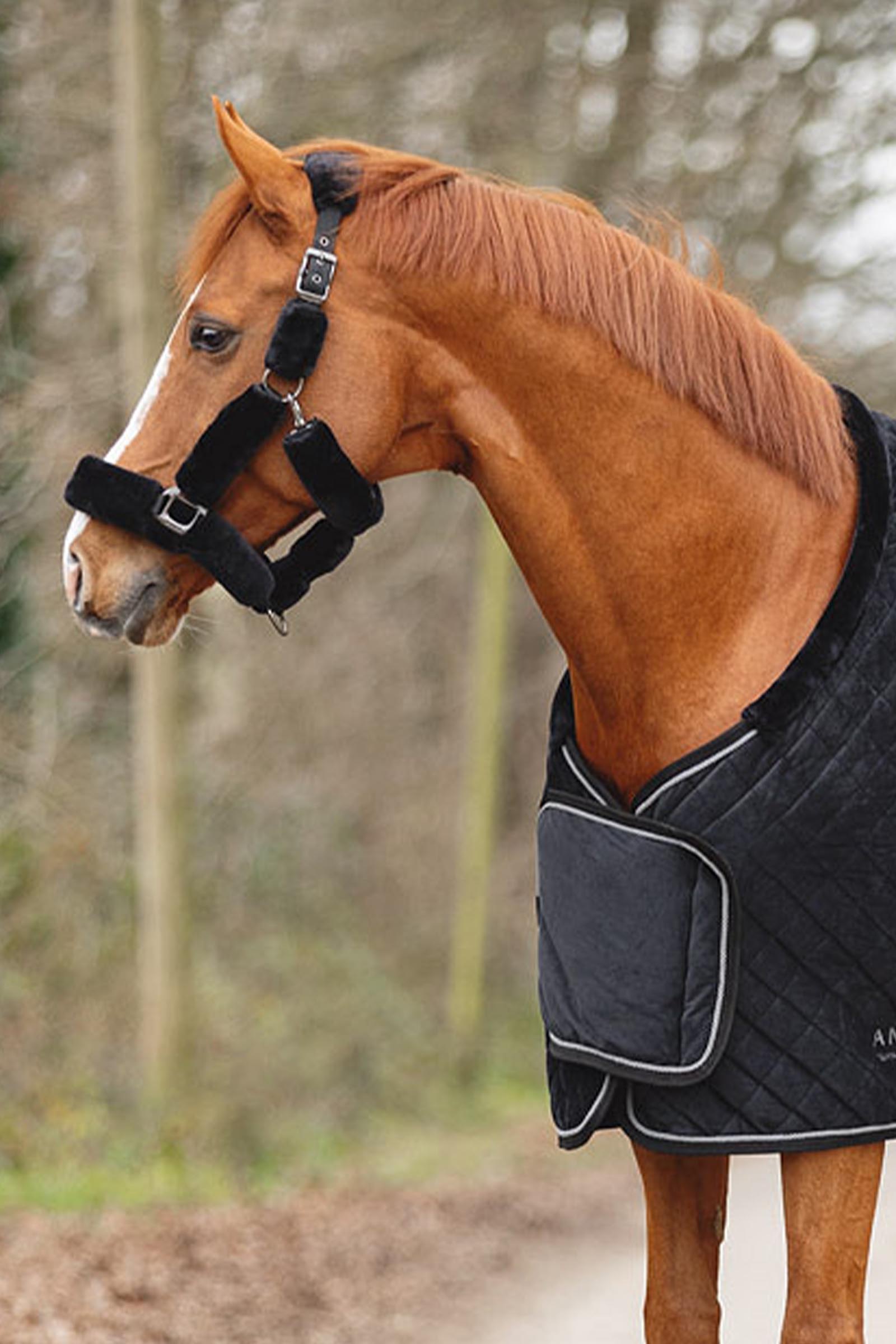 ANKY Victory Showdecke, 200 g